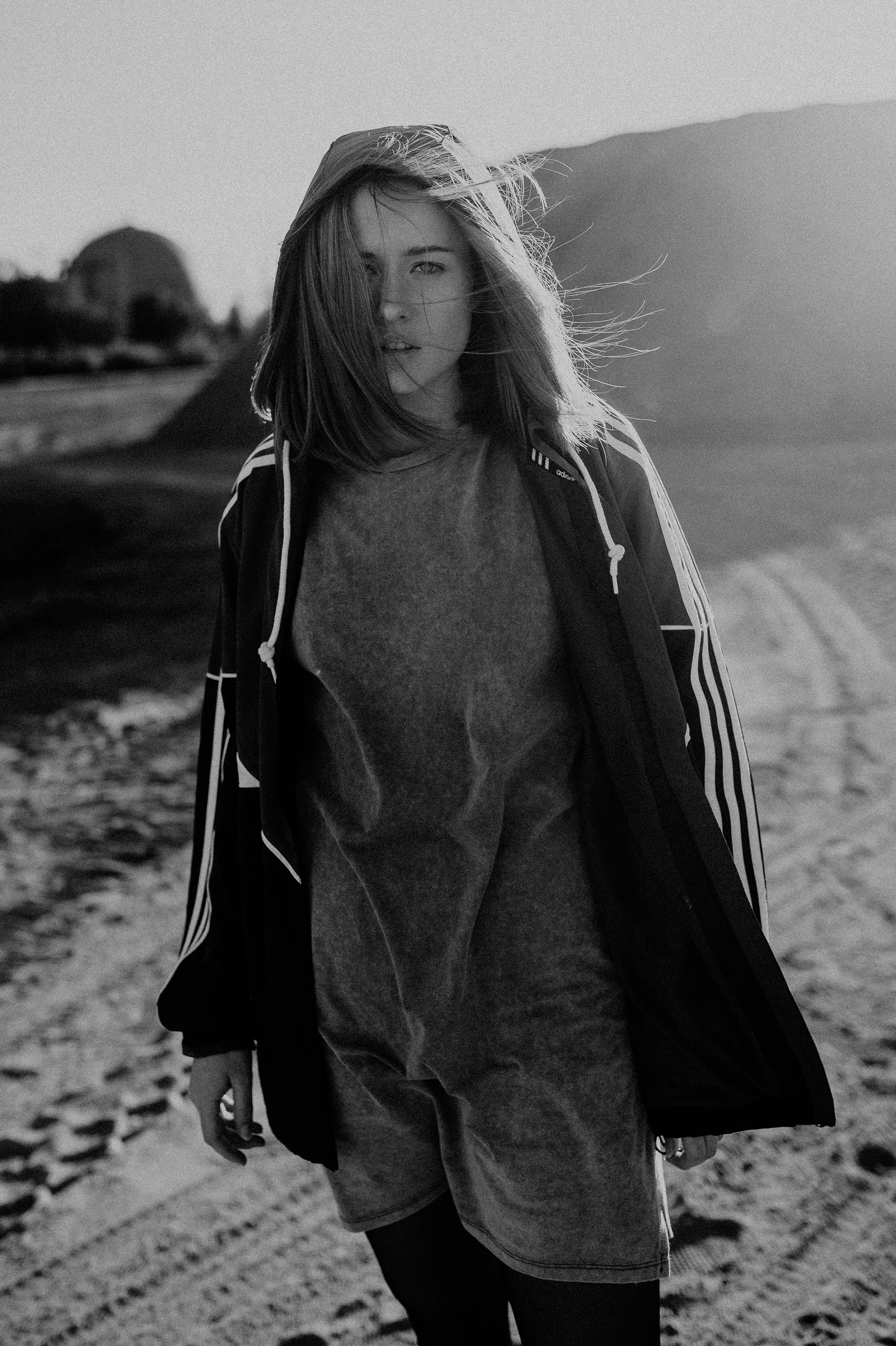 Jenny Metaschk, Journalist