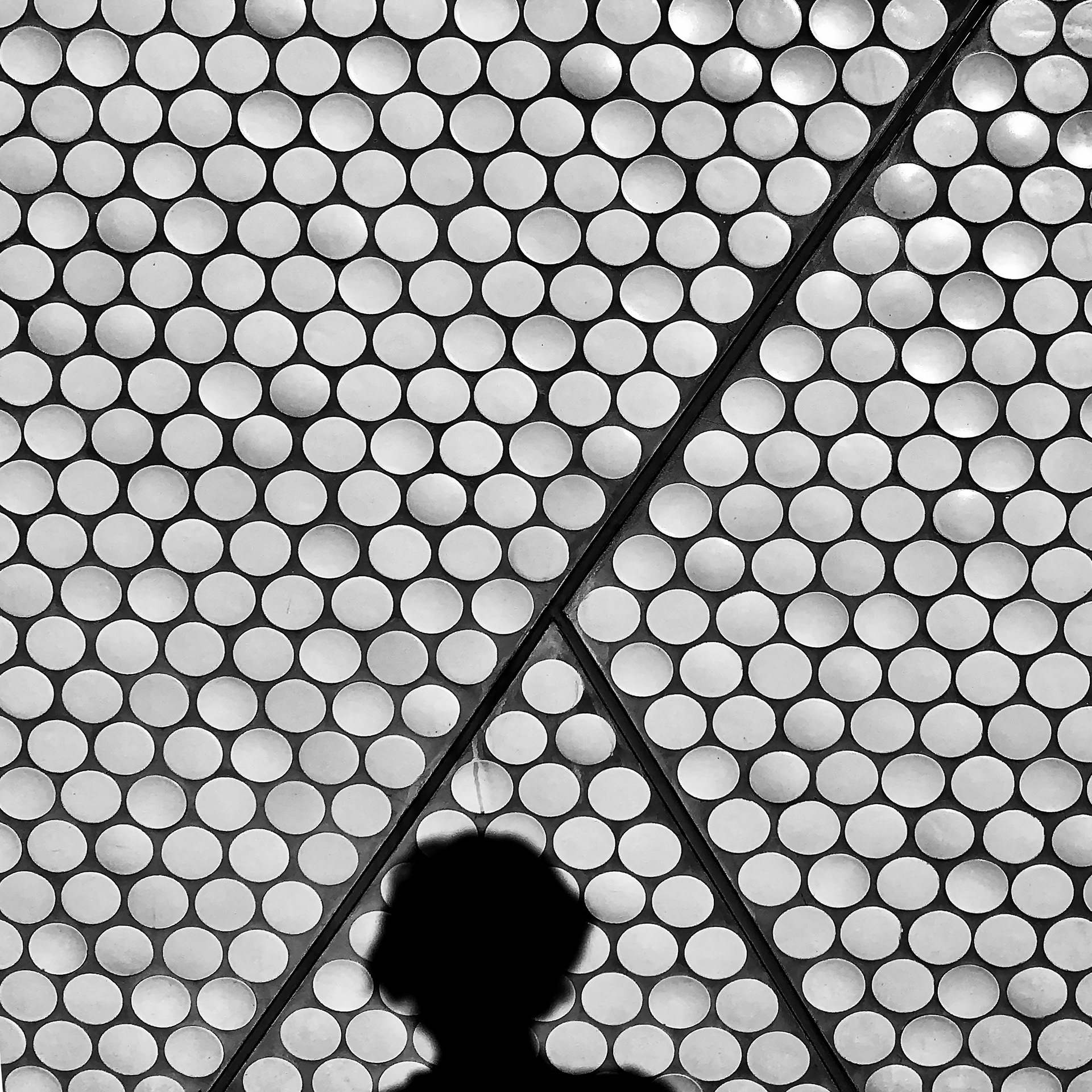 Self-Portrait with Circles