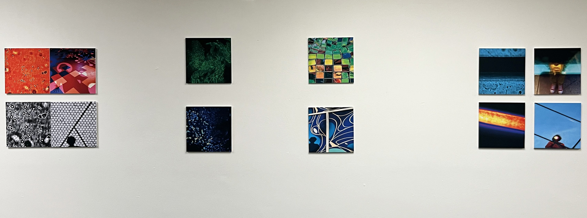 Installation Shot from Solo Exhibition at Bird Library, Syracuse University