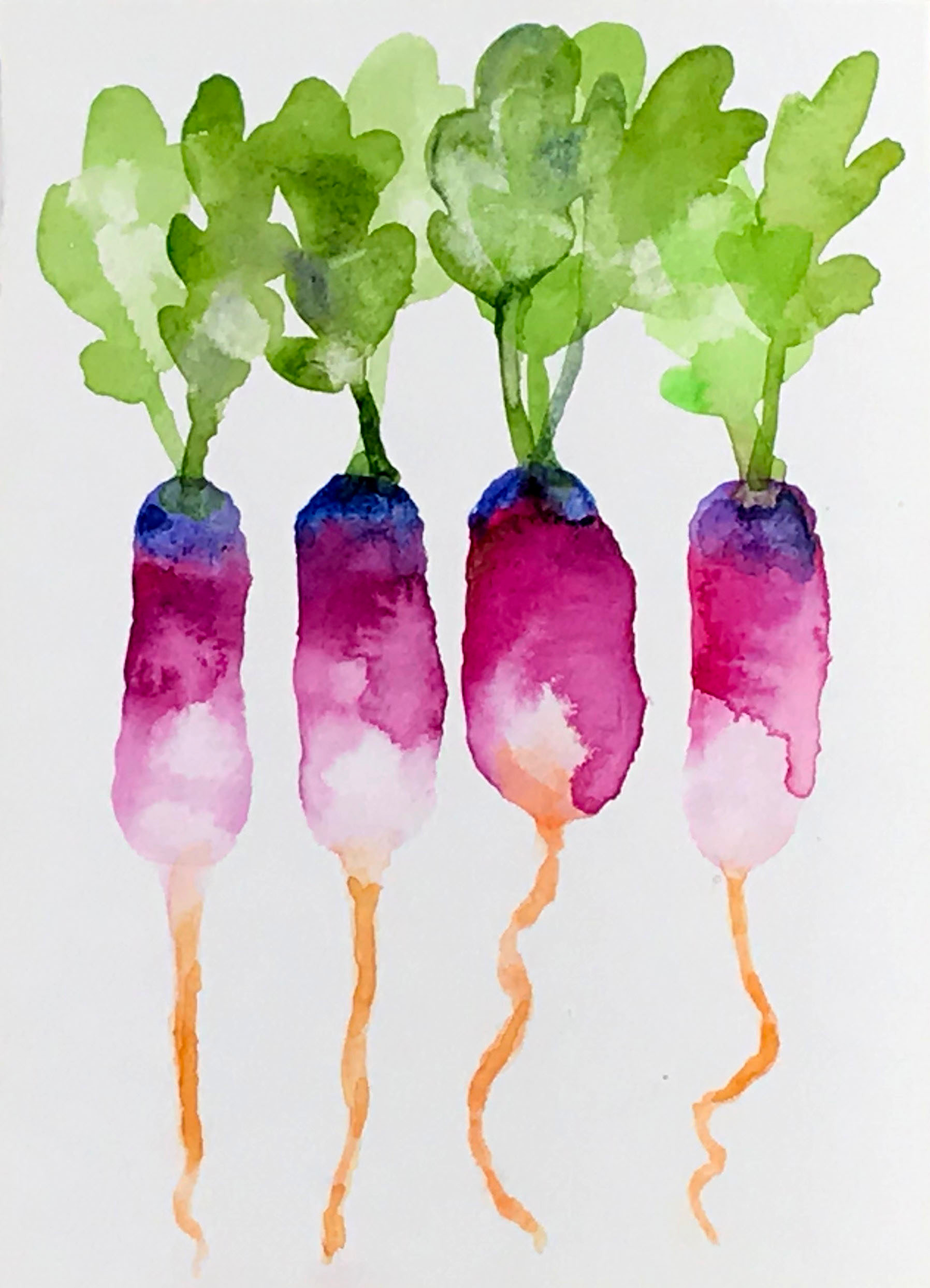 Radishes - watercolor