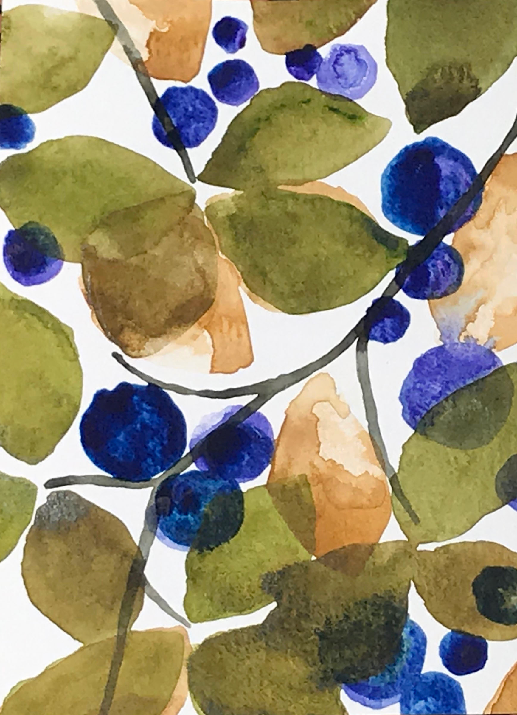 Blueberries - watercolor