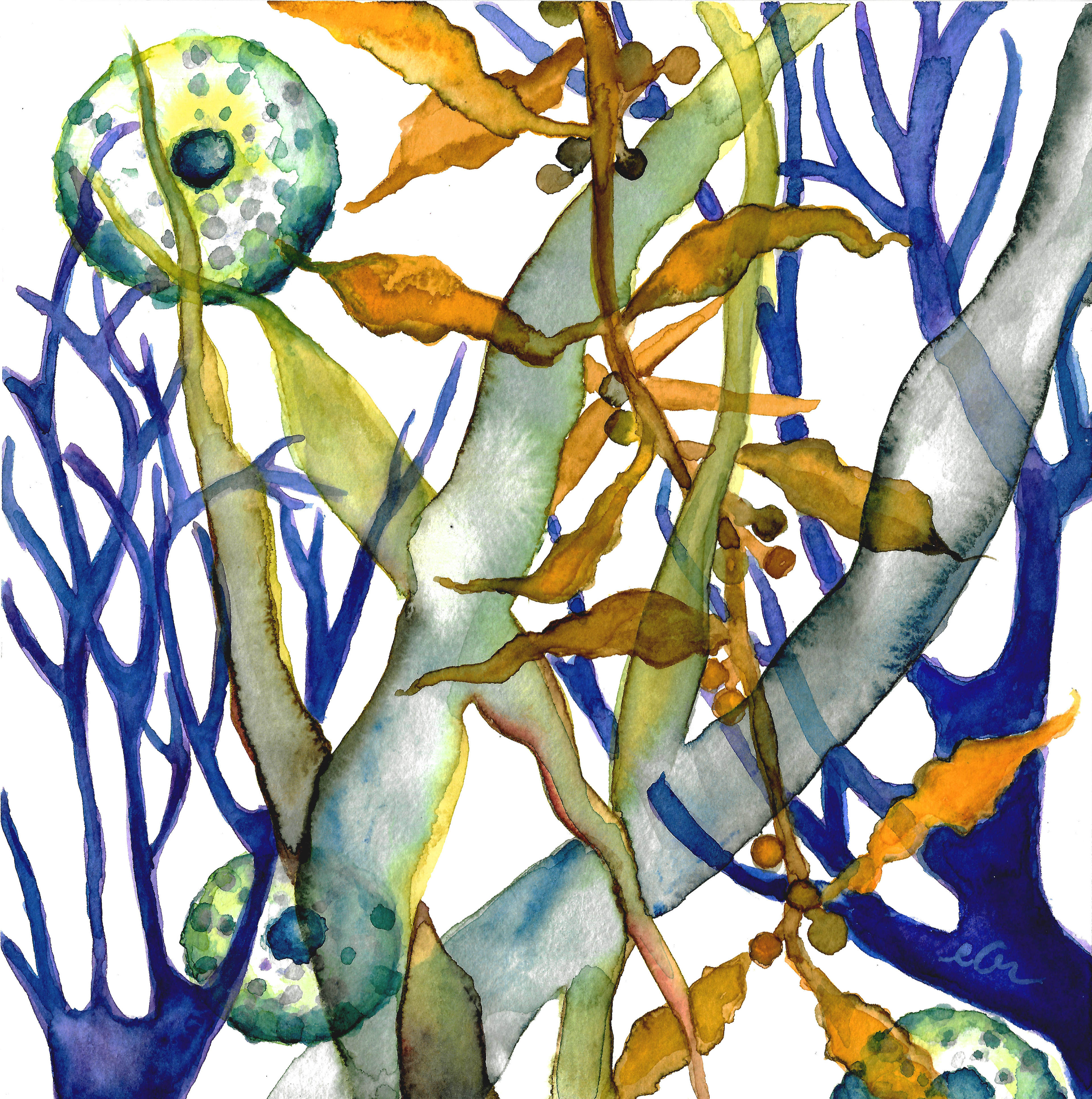 Sea design - watercolor