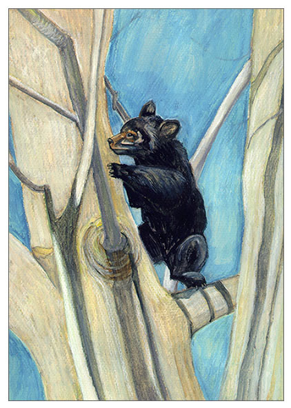 Black bear - watercolor pencil