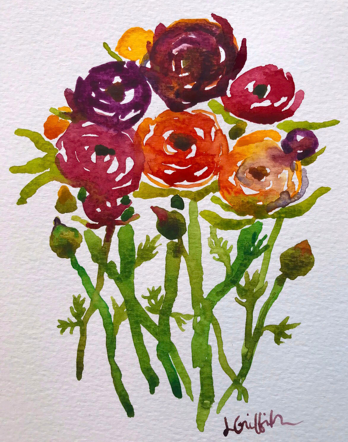 Ranunculus - watercolor
