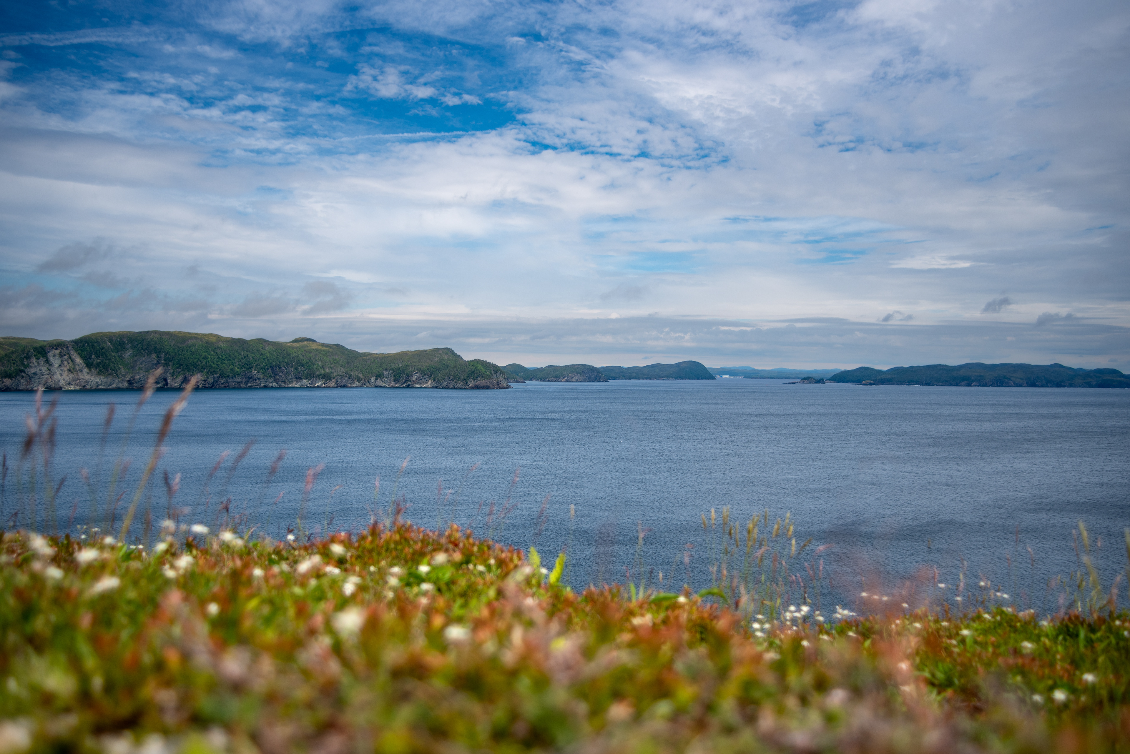 Burin Peninsula, Newfoundland, Canada 29/06/2022 © Simon Shea