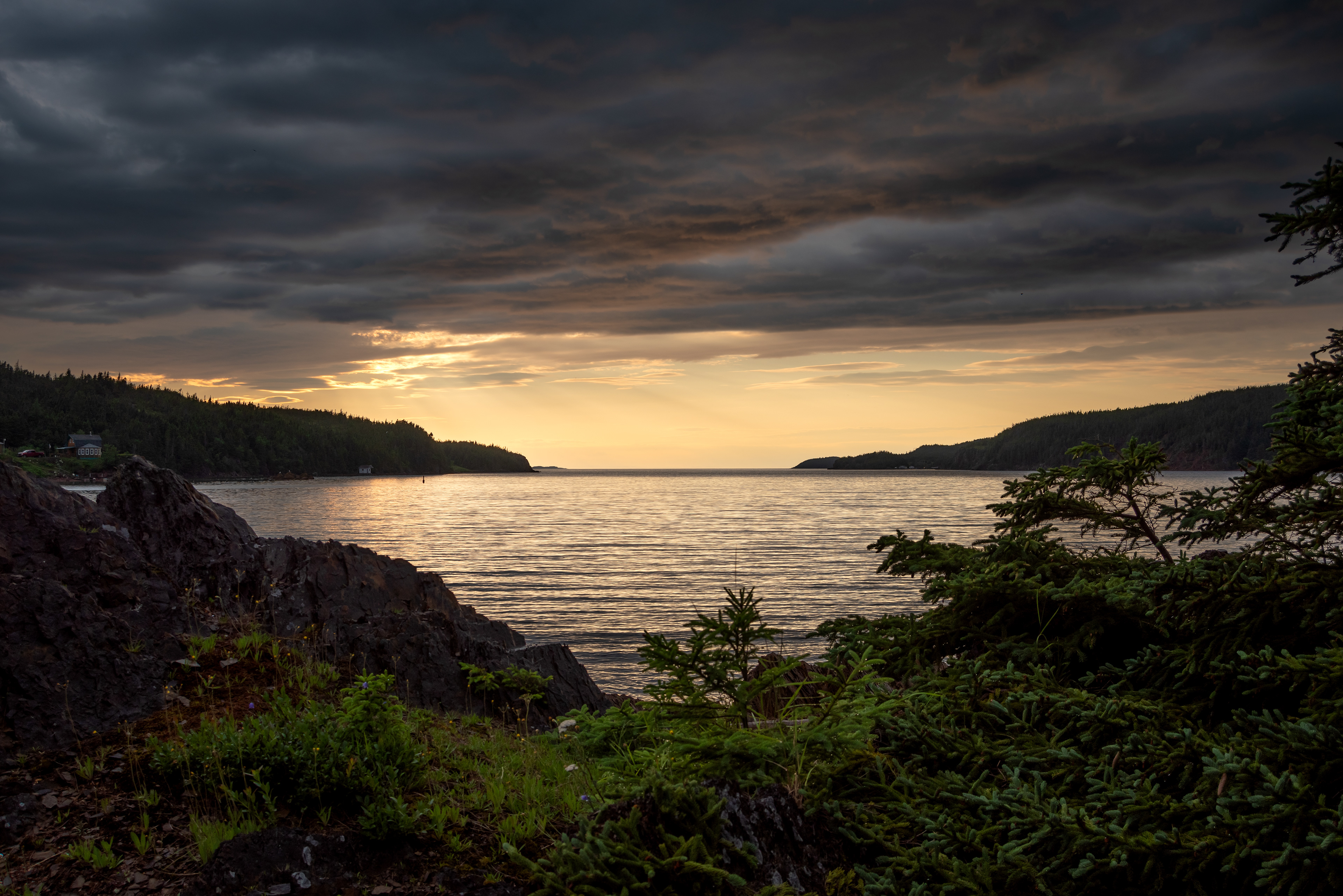 Cottrell’s Cove, Newfoundland, Canada 12/07/2022 © Simon Shea