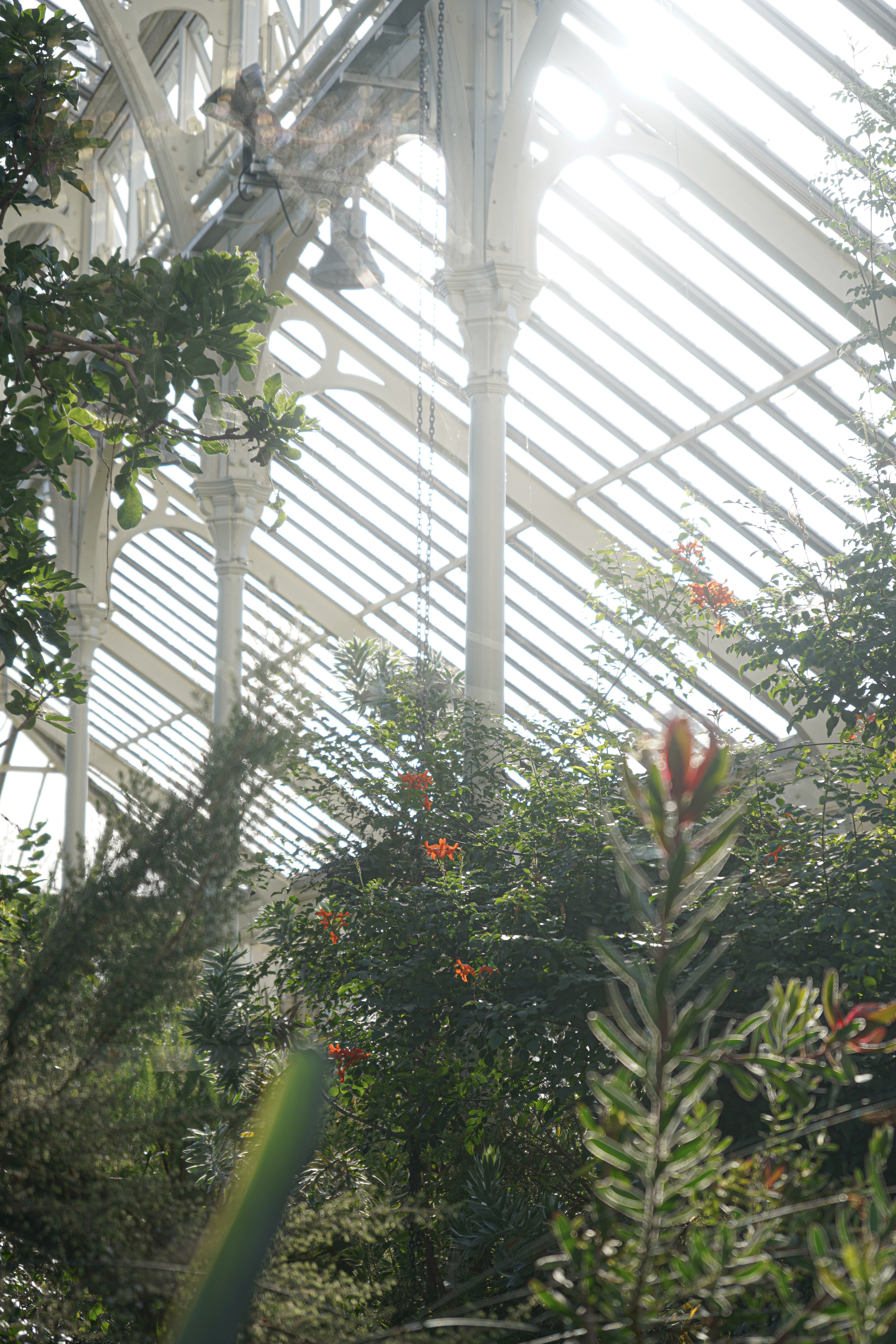 Kew