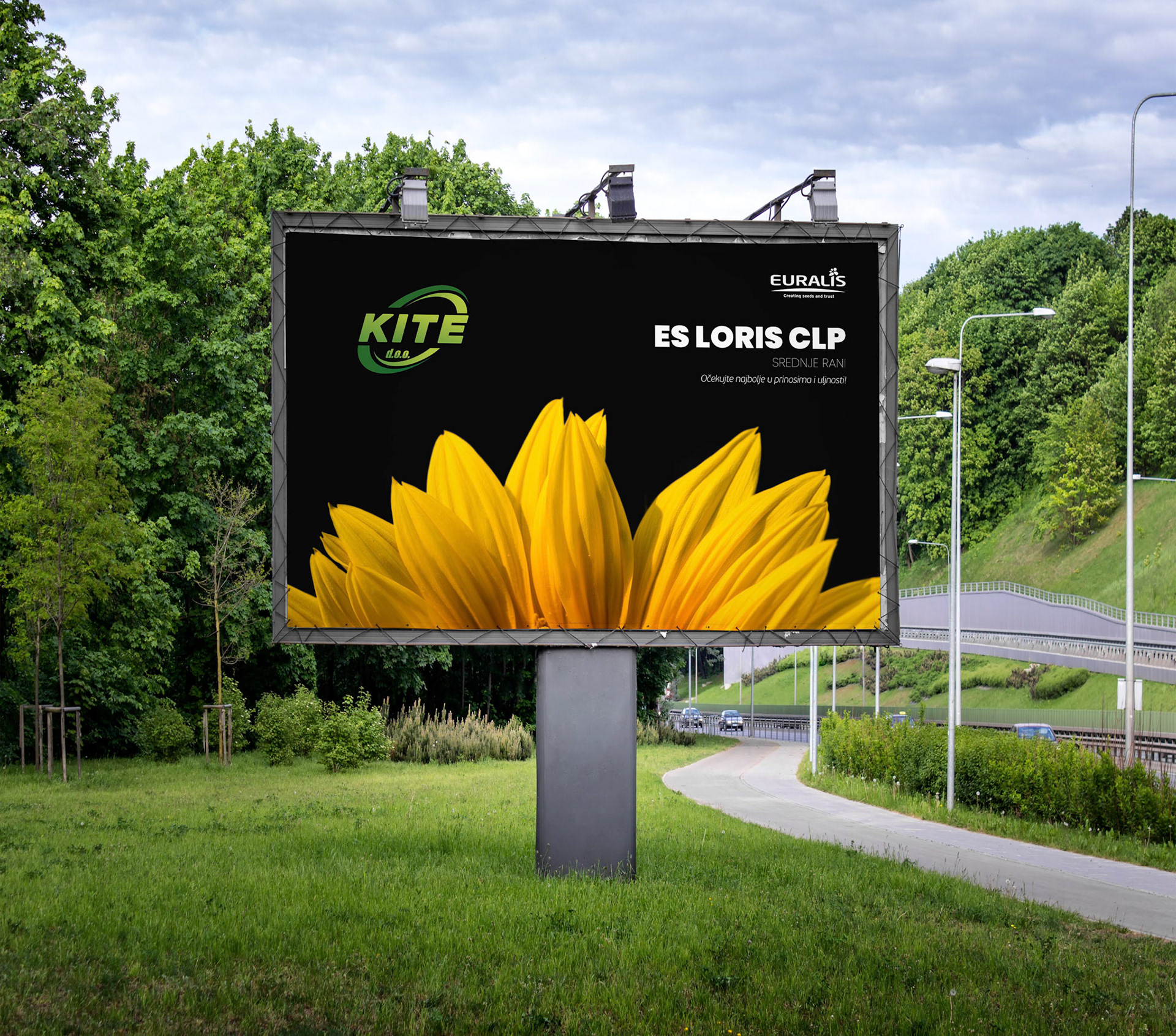 Large commercial advertisement billboard with empty blank space located outside next to road and sidewalk.