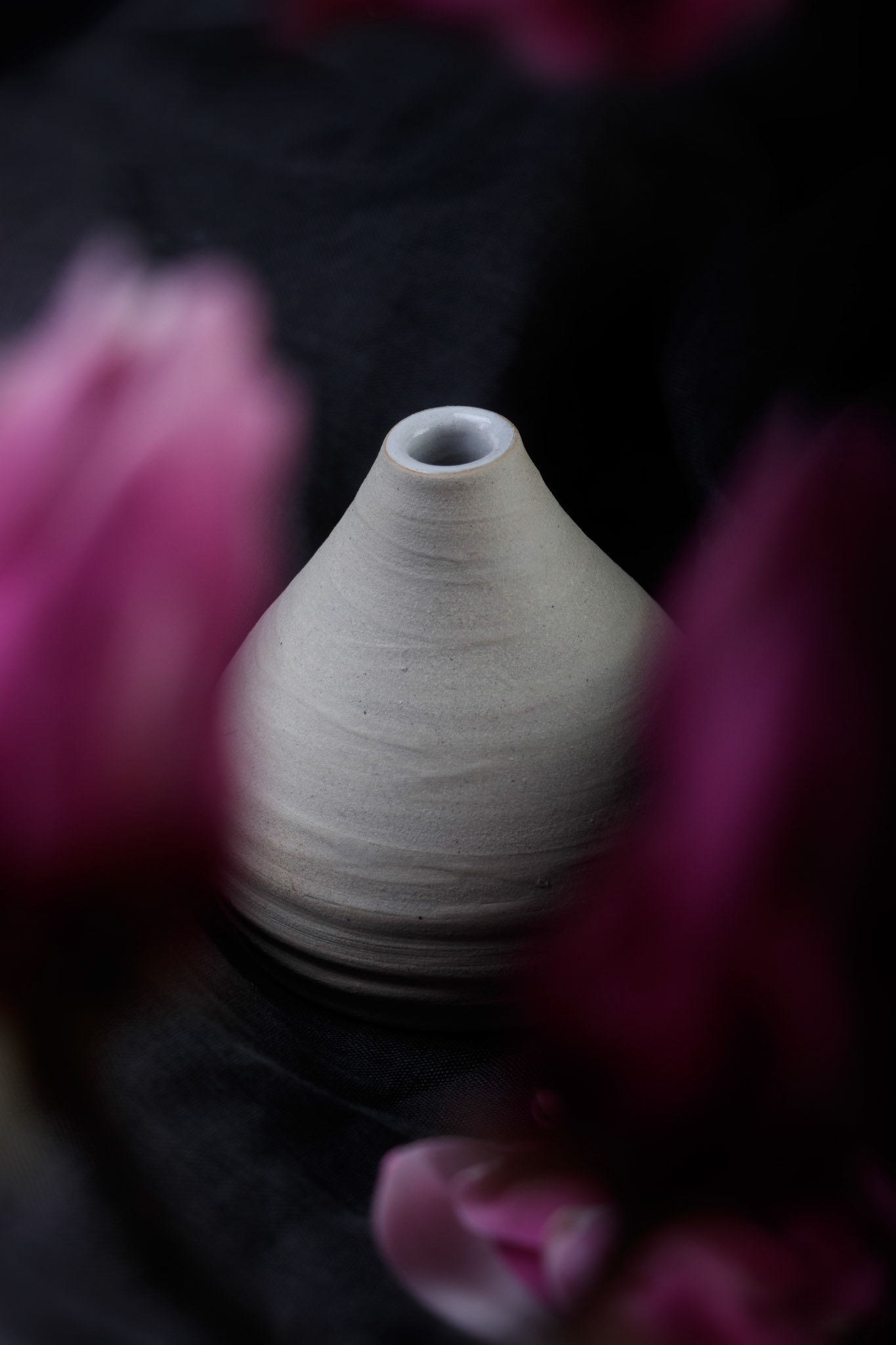 Senapsgula sagor ©Joanna Lönn