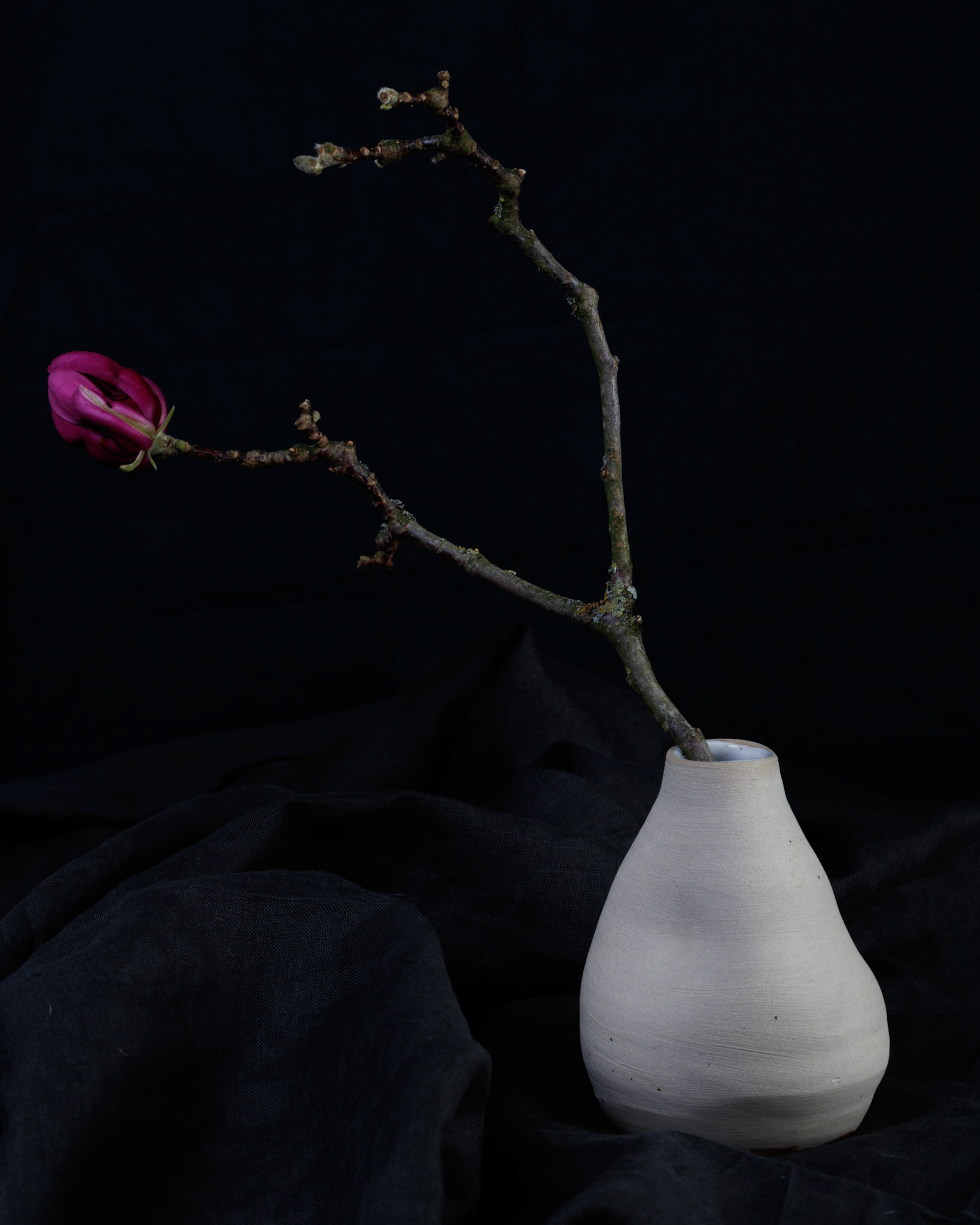 Senapsgula sagor ©Joanna Lönn