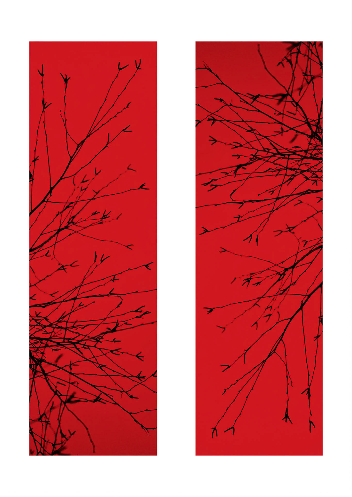 DIGITAL ILLUSTRATION FOR SHOWROOM DOOR PANELS