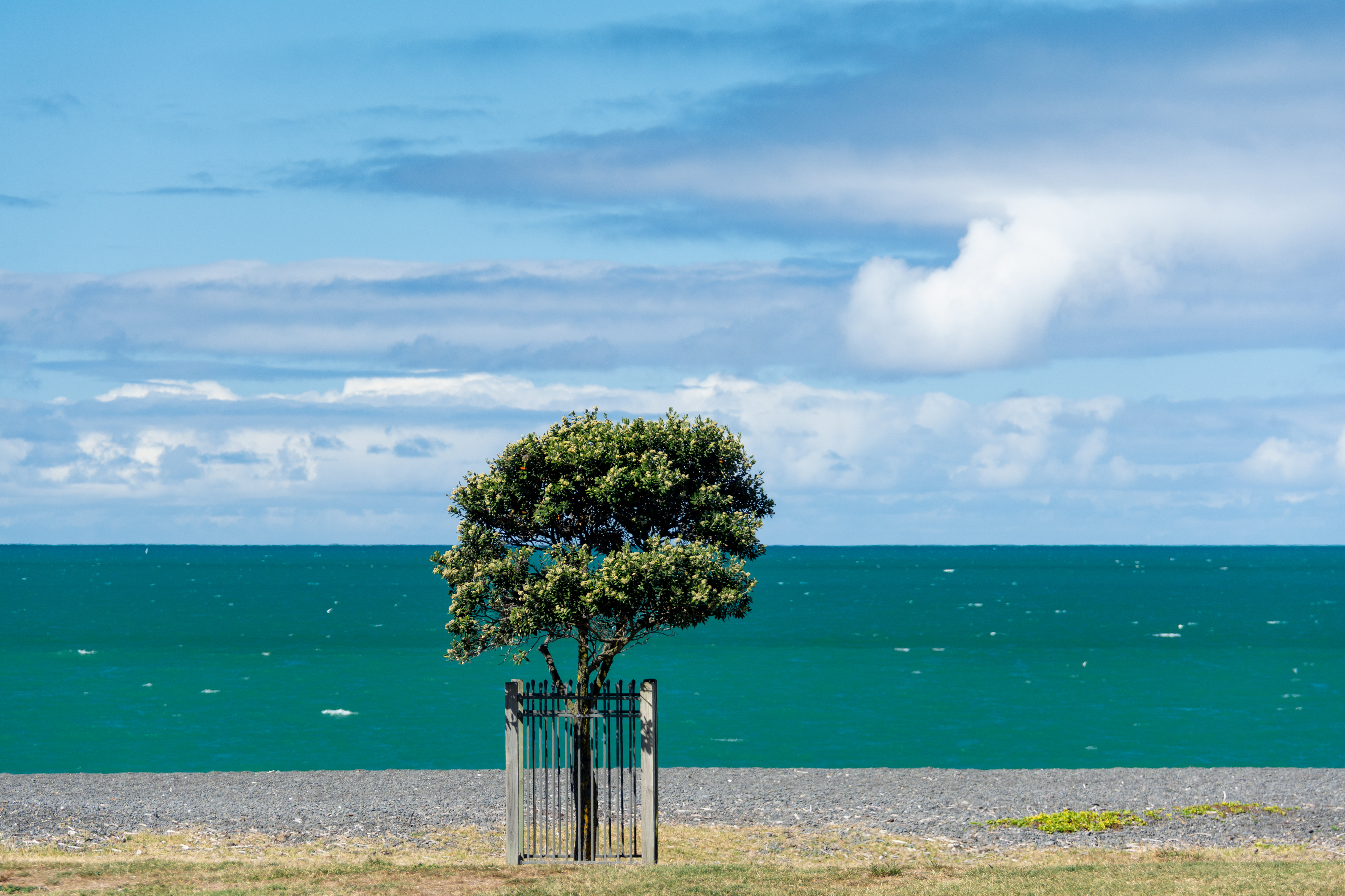 Napier
