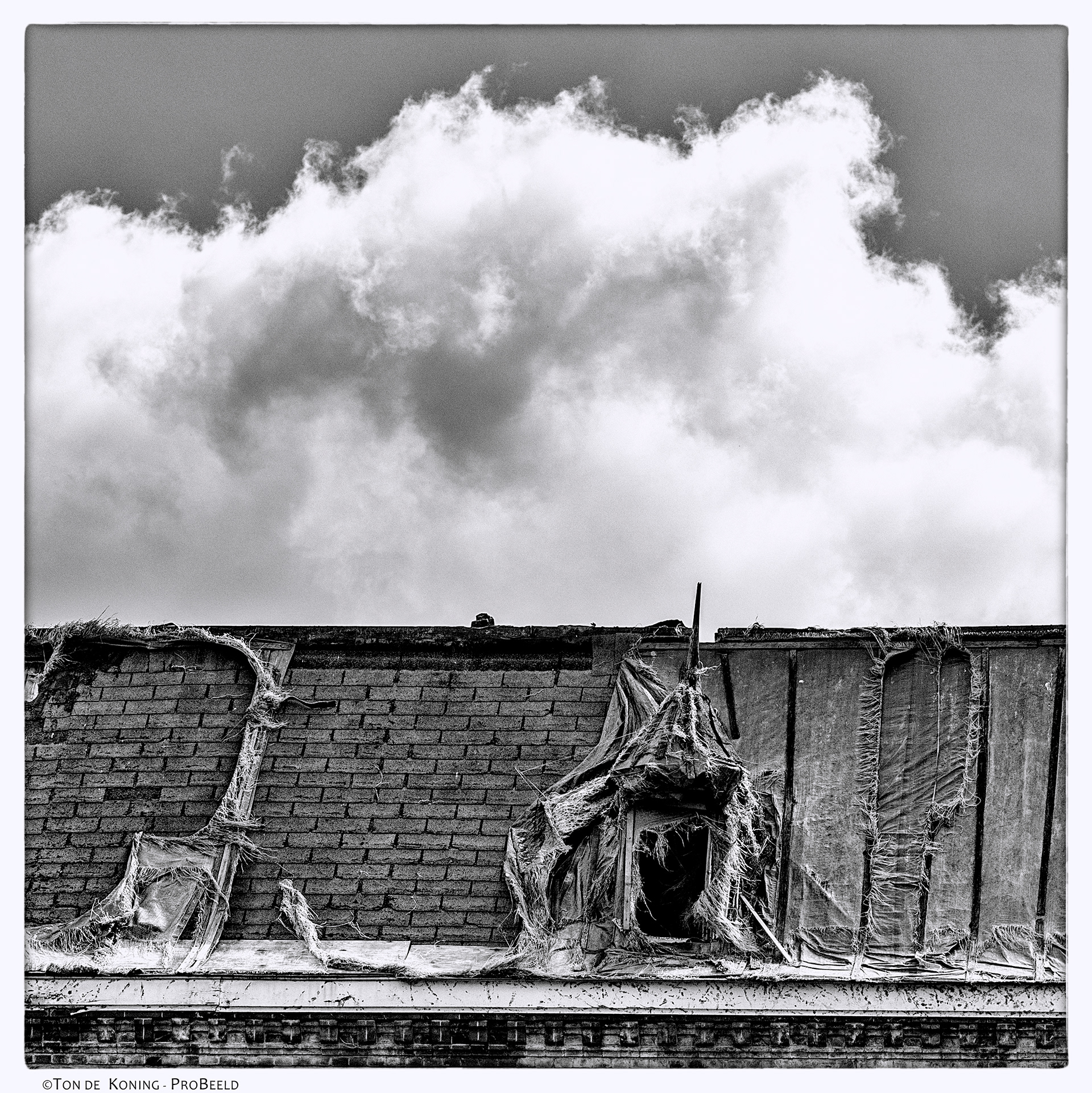 Haarlem 2023