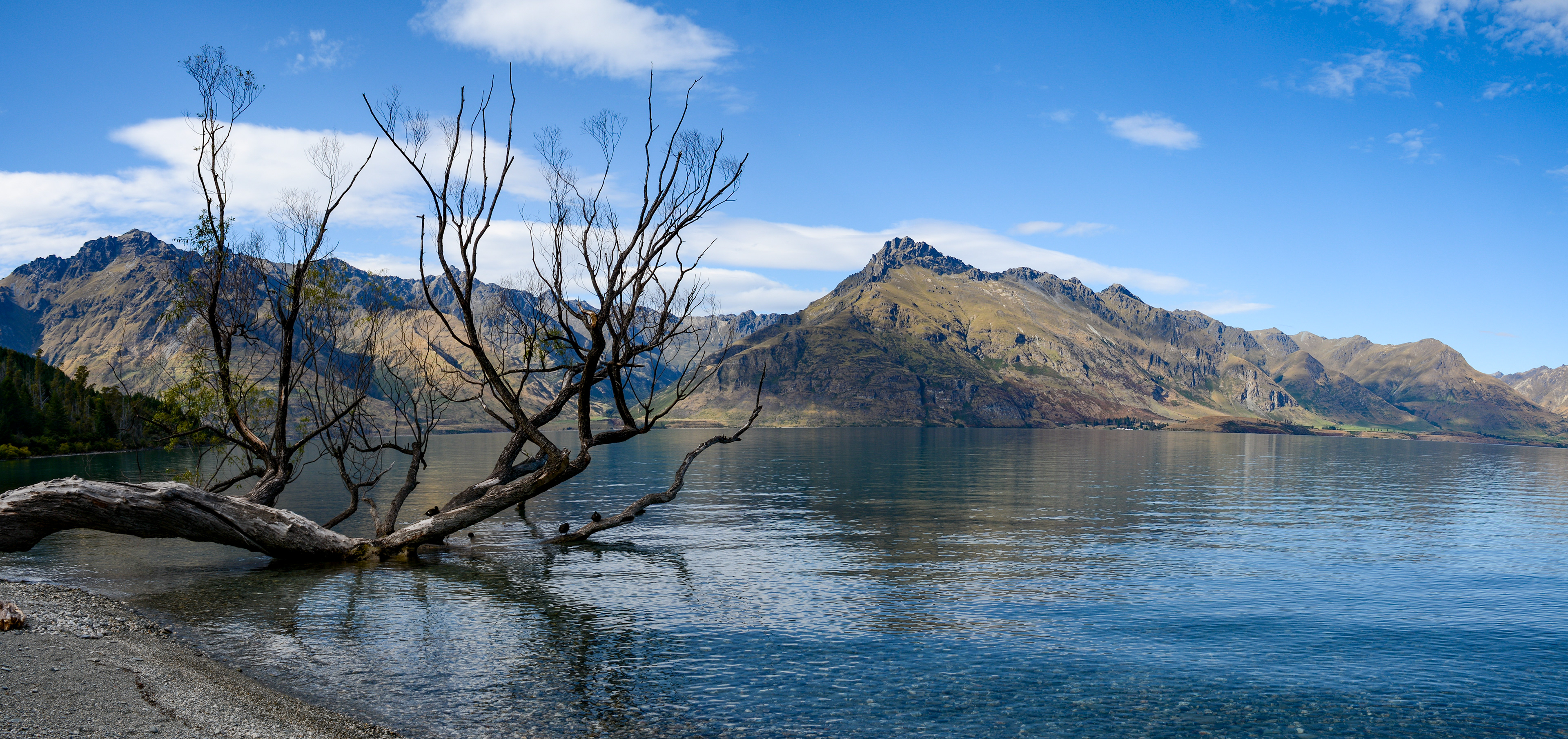 Road Glenorchy - Queenstown - Lake Wakatipu