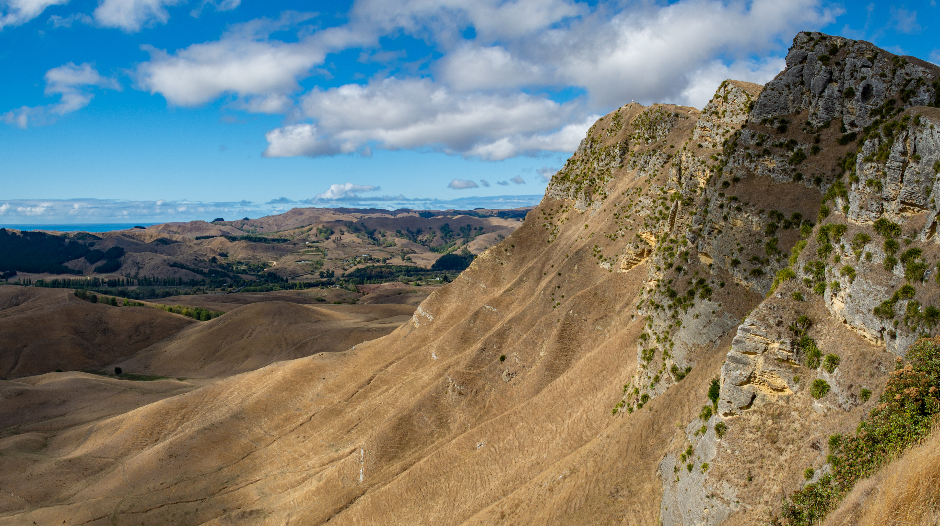 Te Mata Peak