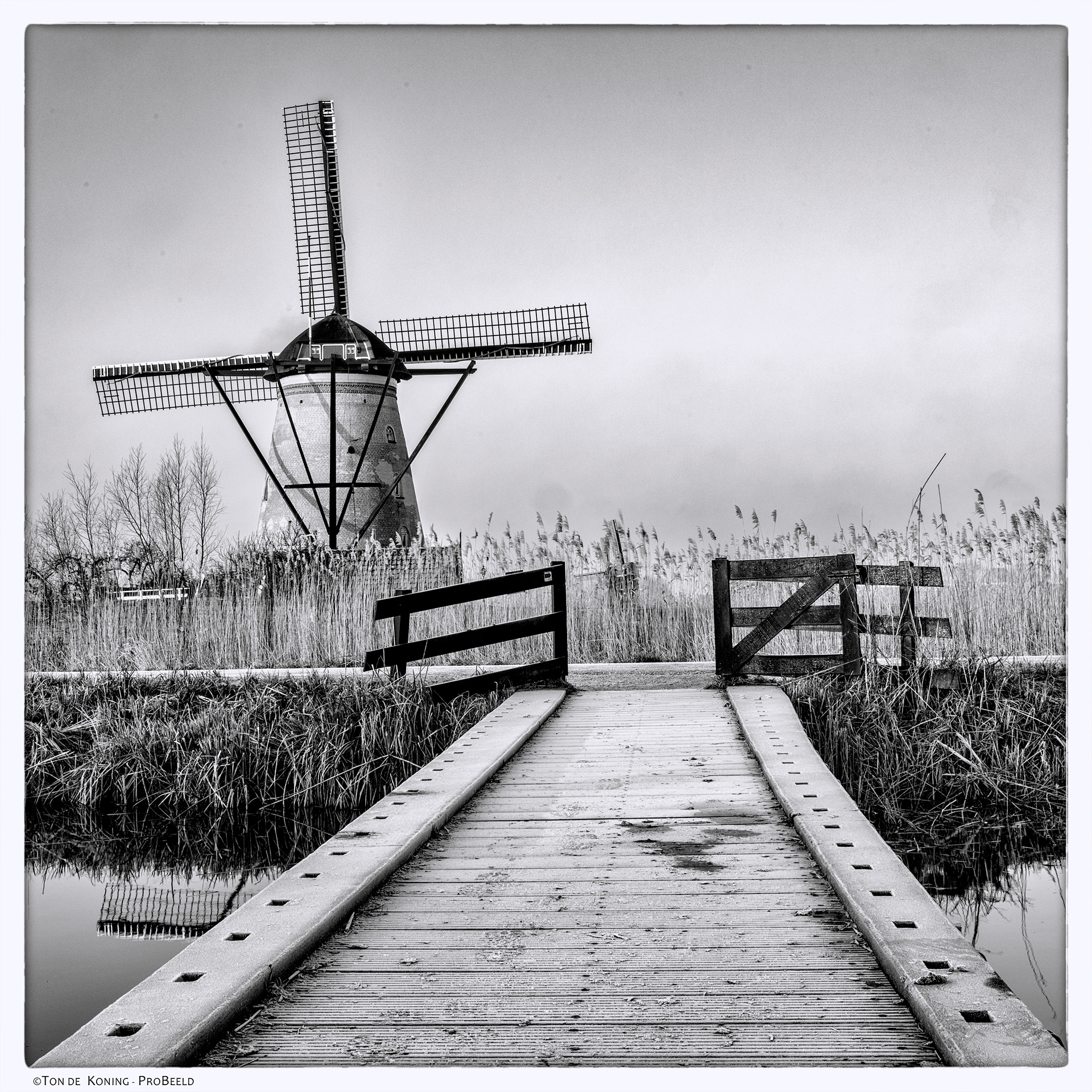 Kinderdijk 2023