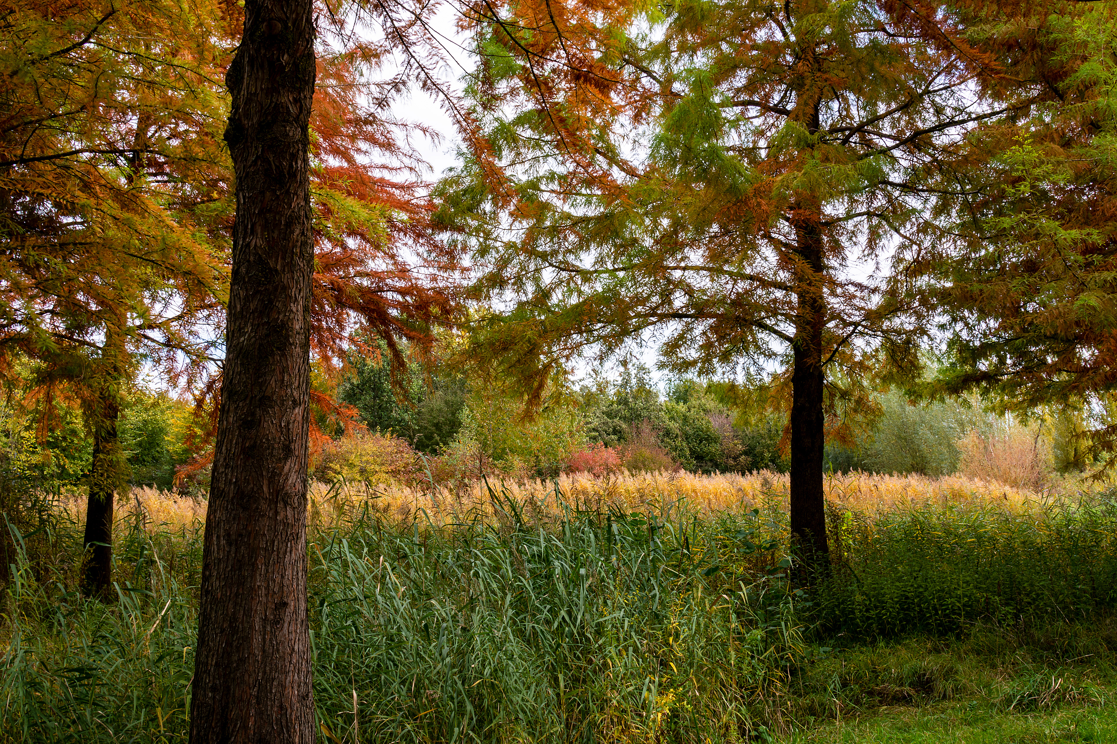 Maximapark