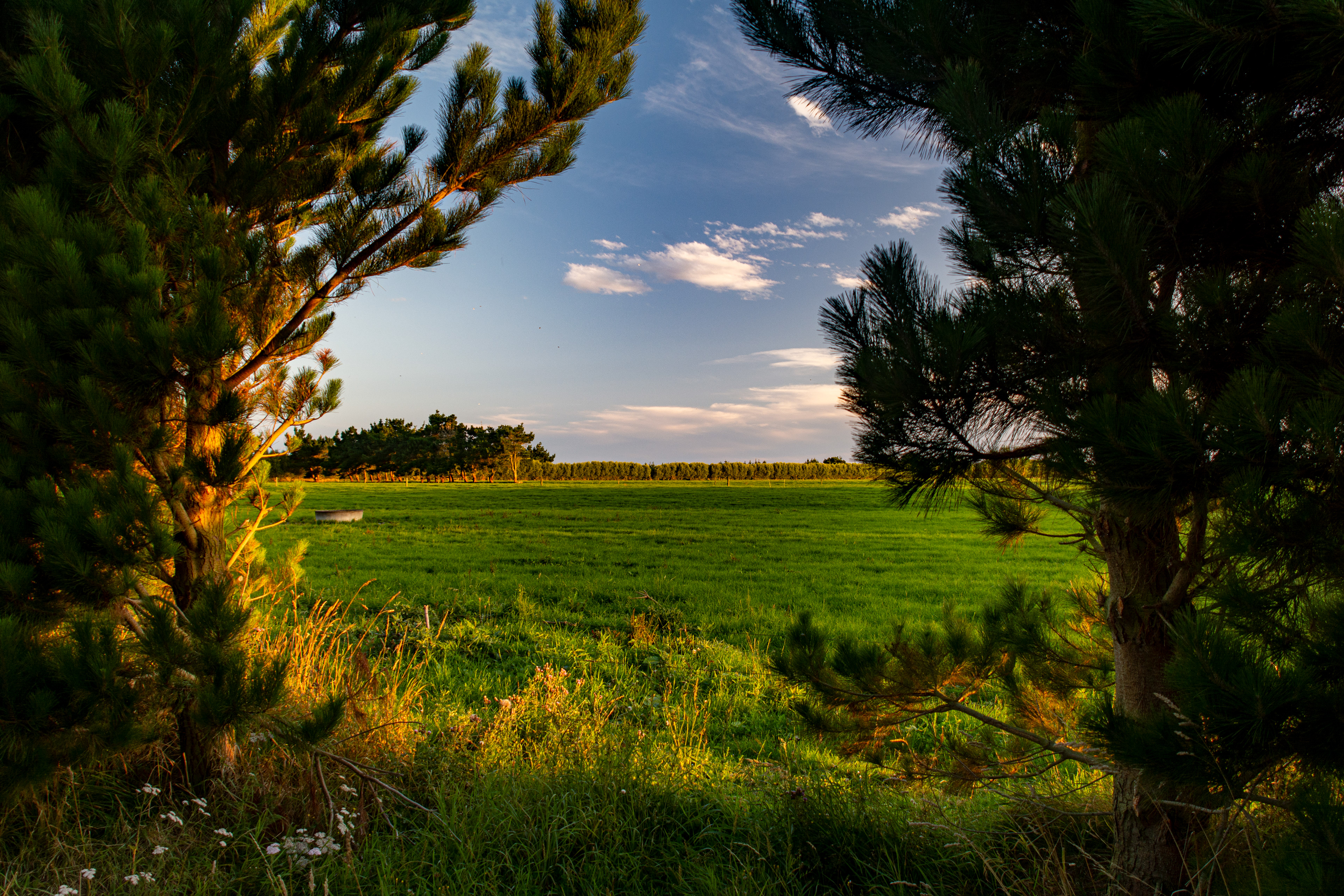 Waitaki