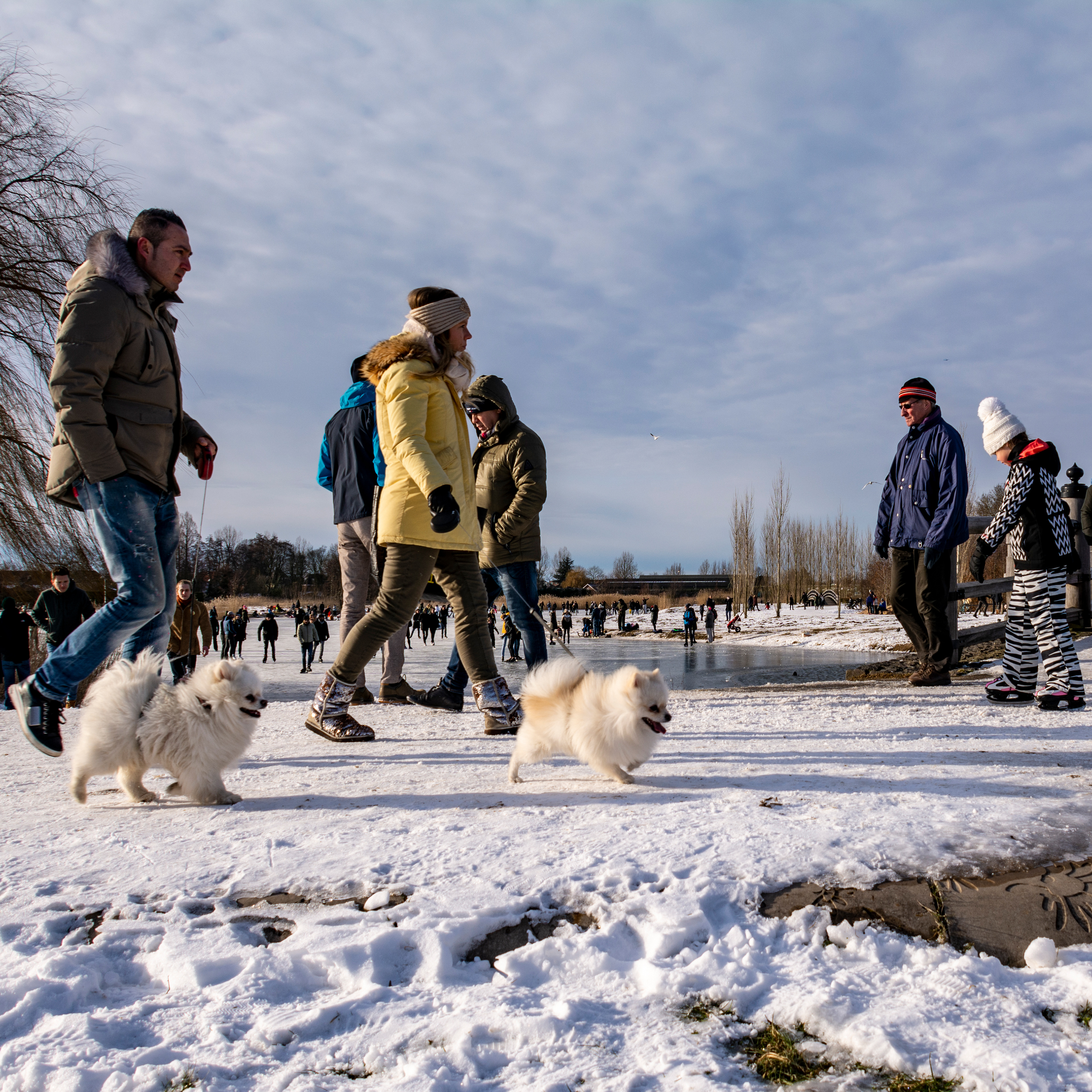 Maximapark - Vleuten