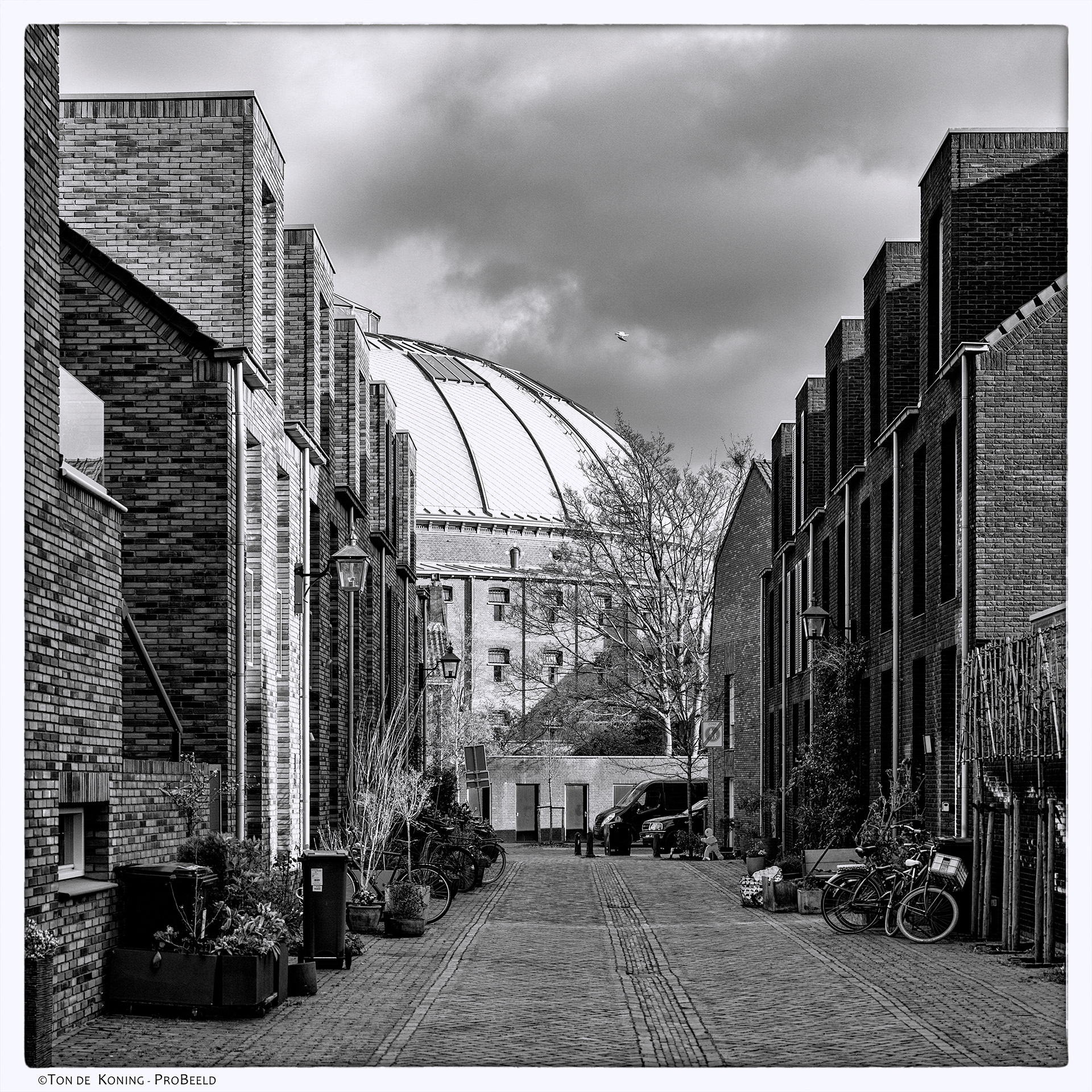 Haarlem 2023