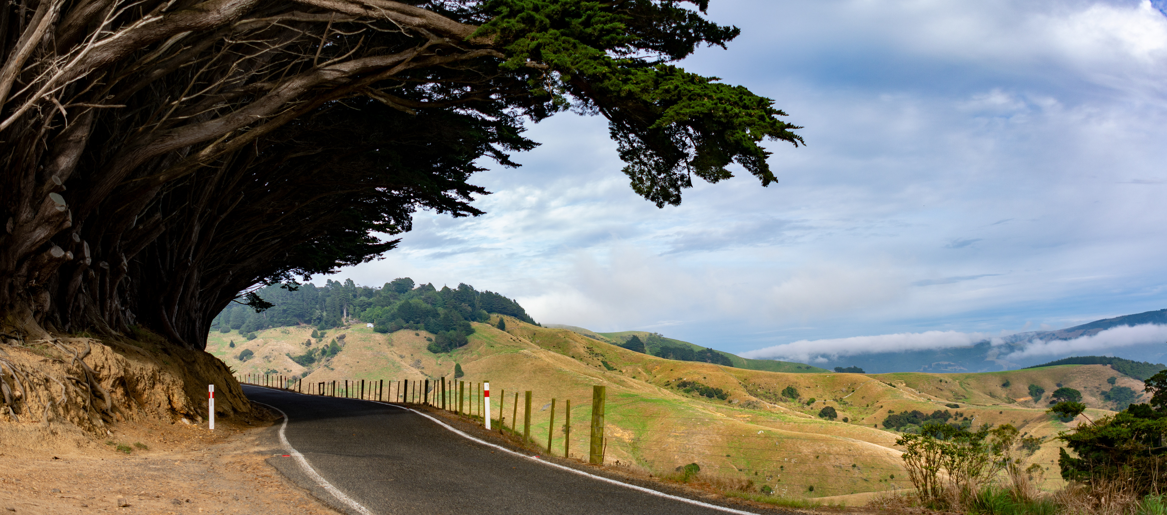 Somewhere on the road on the Southisland