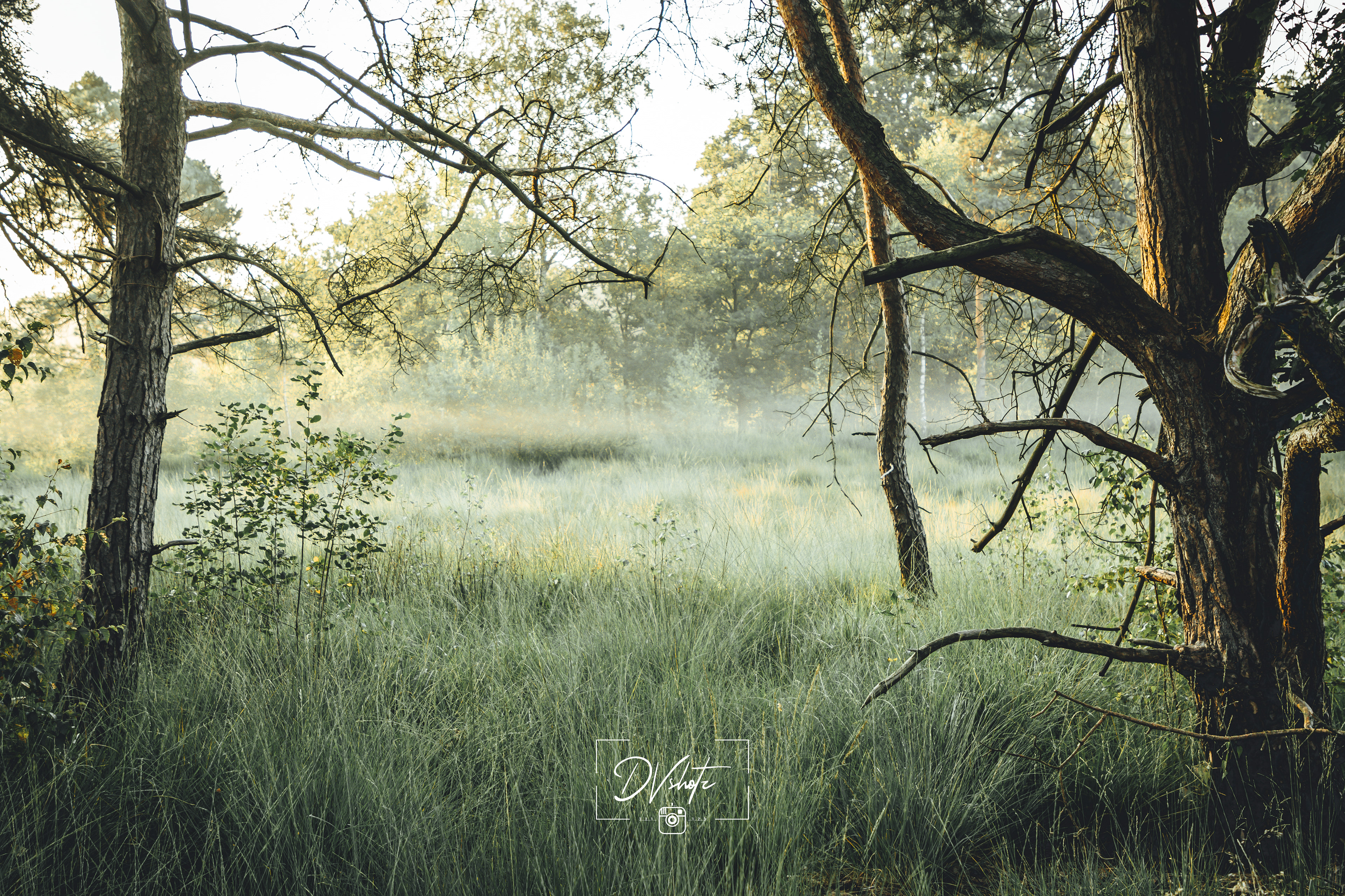 Landschap - België