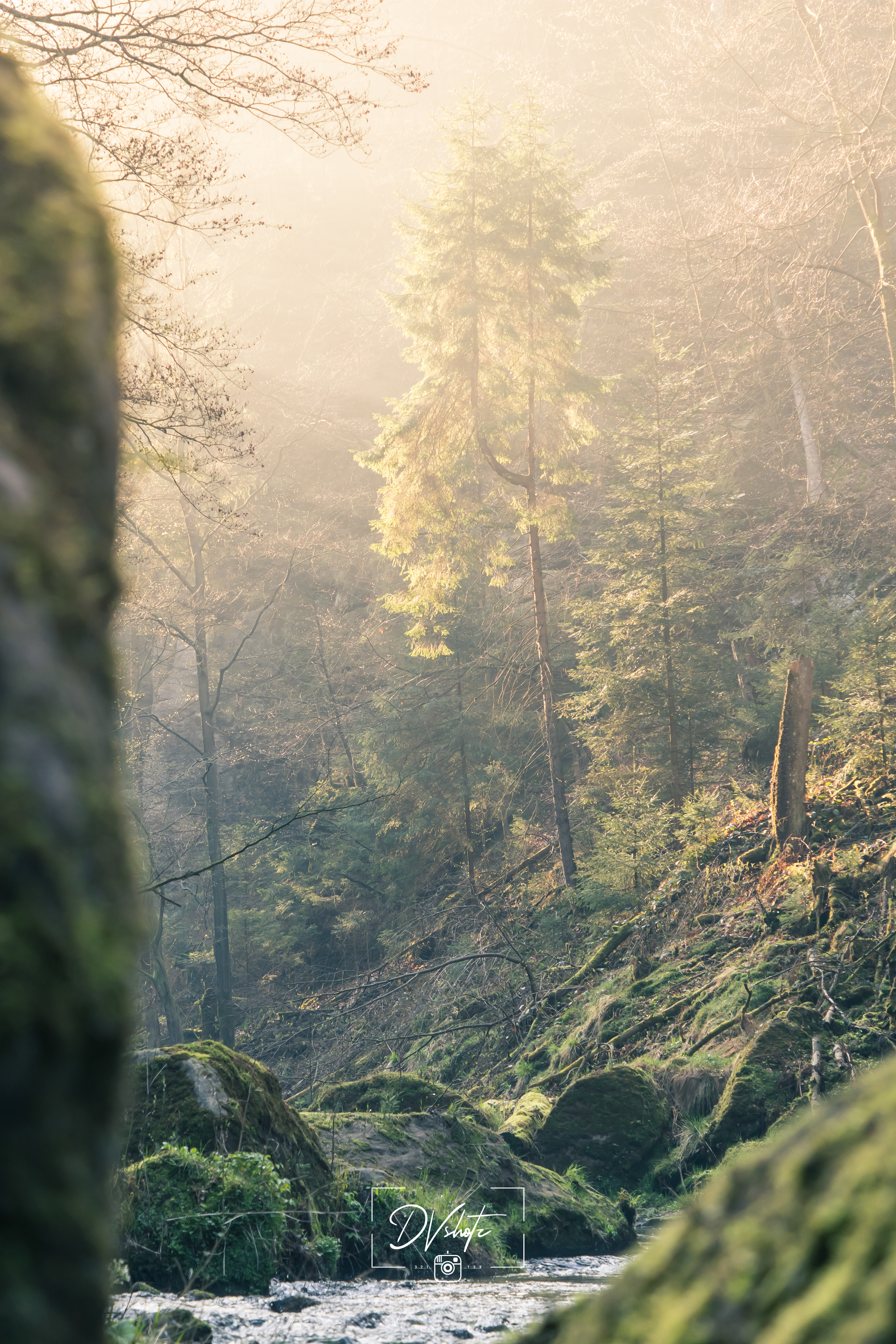Landschap - Duitsland 2019