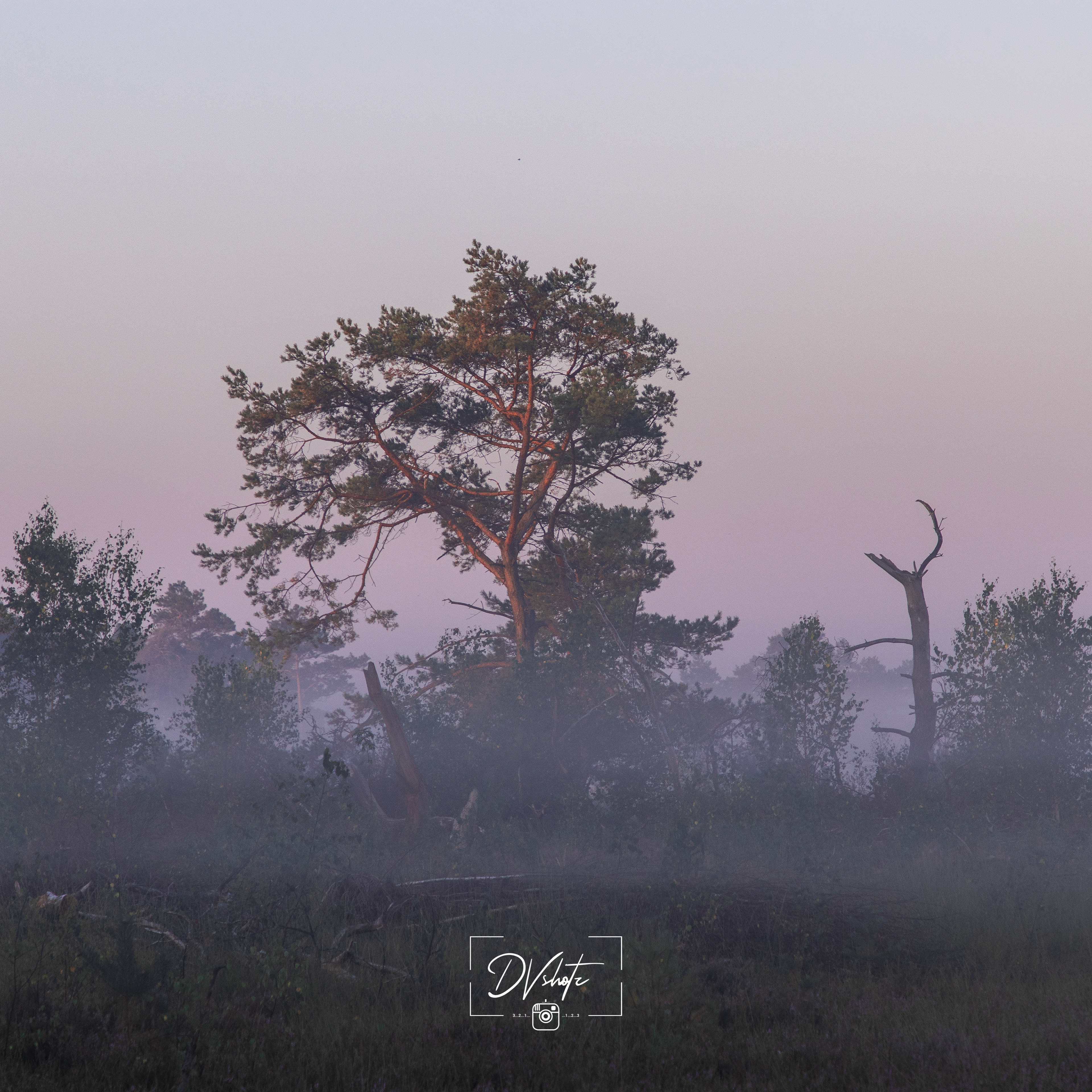 Landschap - België