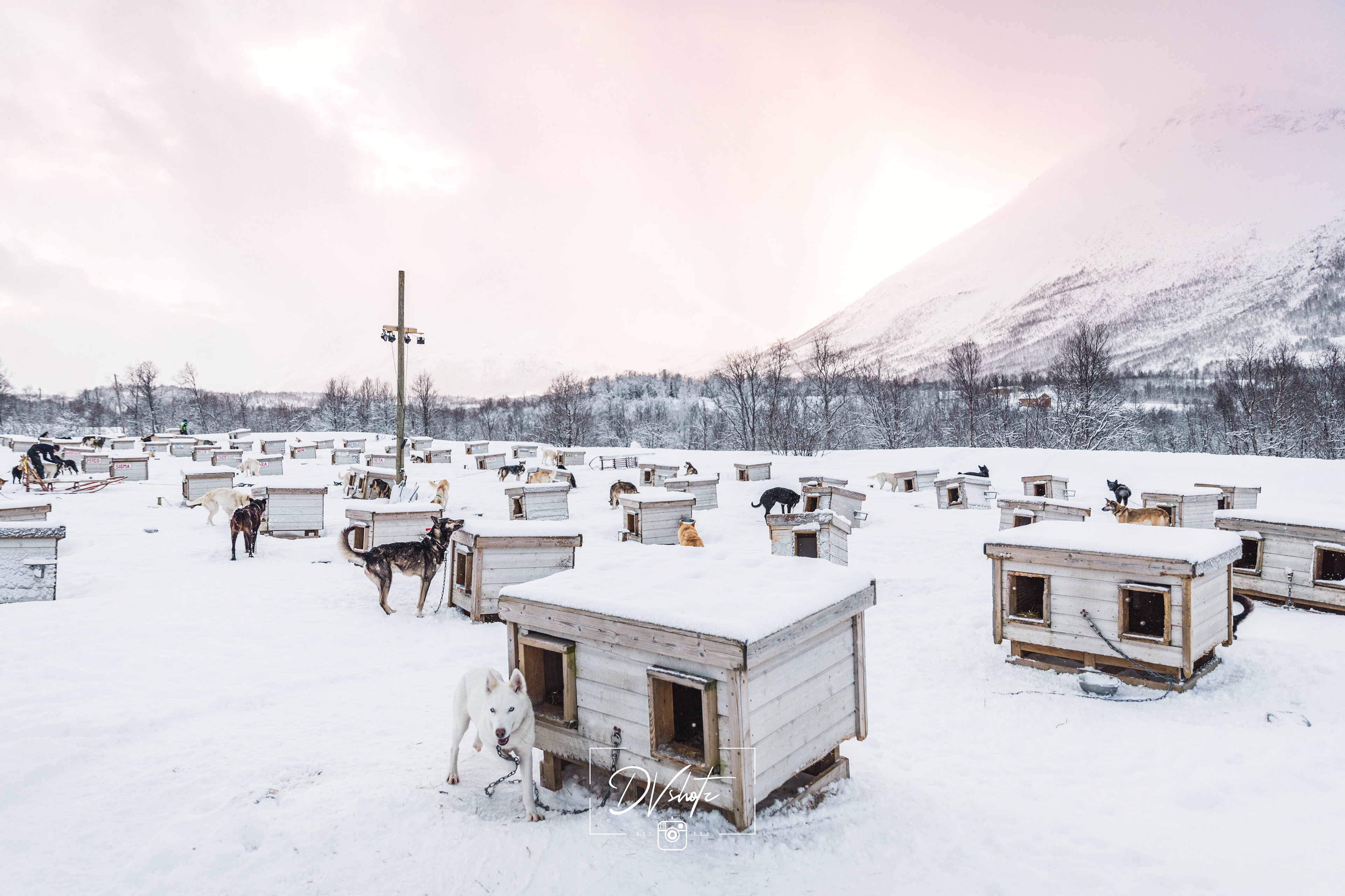 Landschap - Tromso 2020