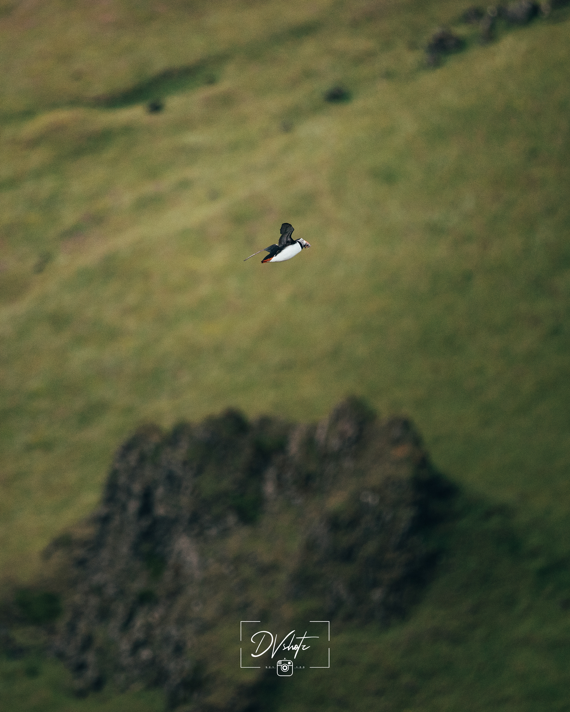Landschap - Ijsland 2019