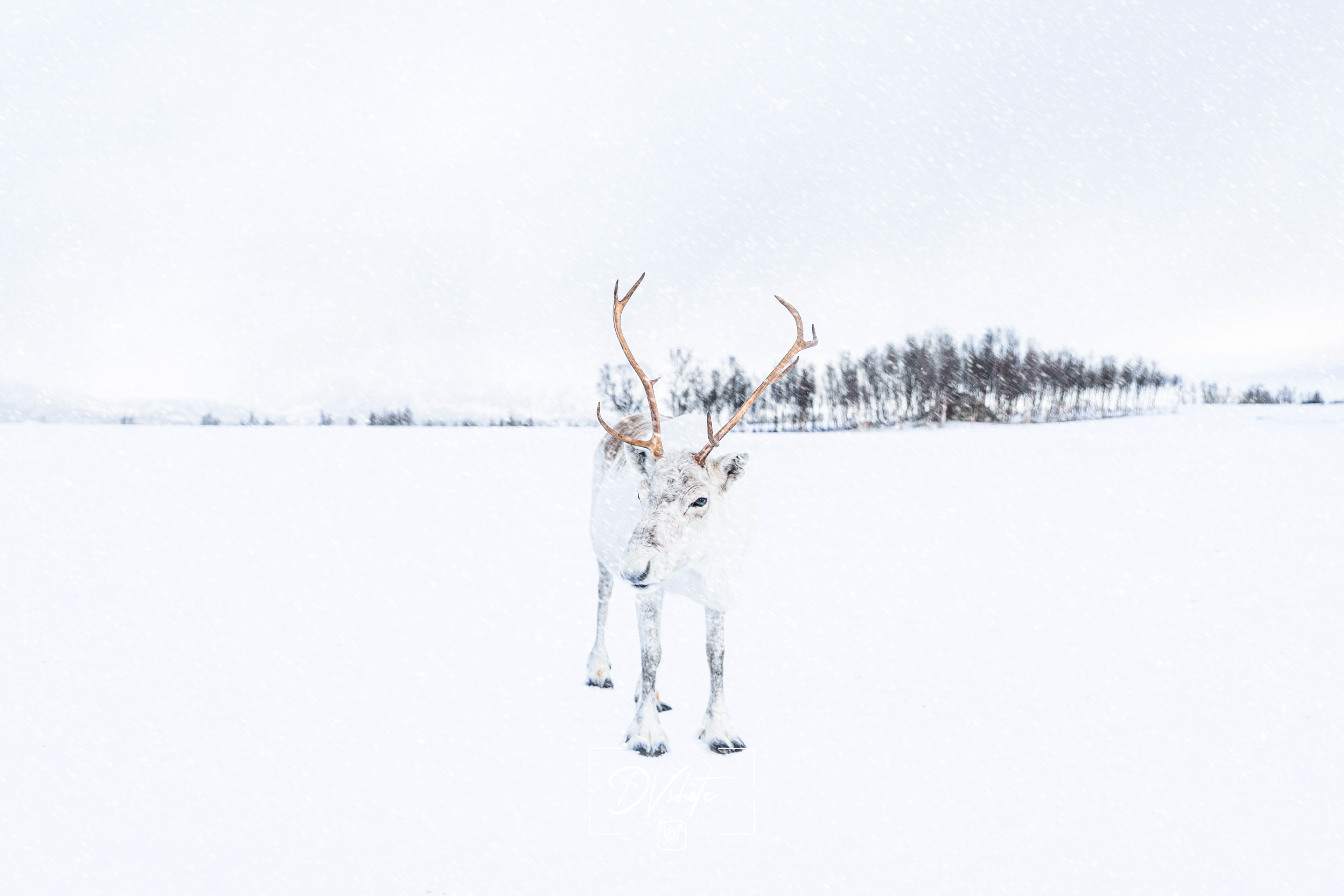Landschap - Tromso 2020