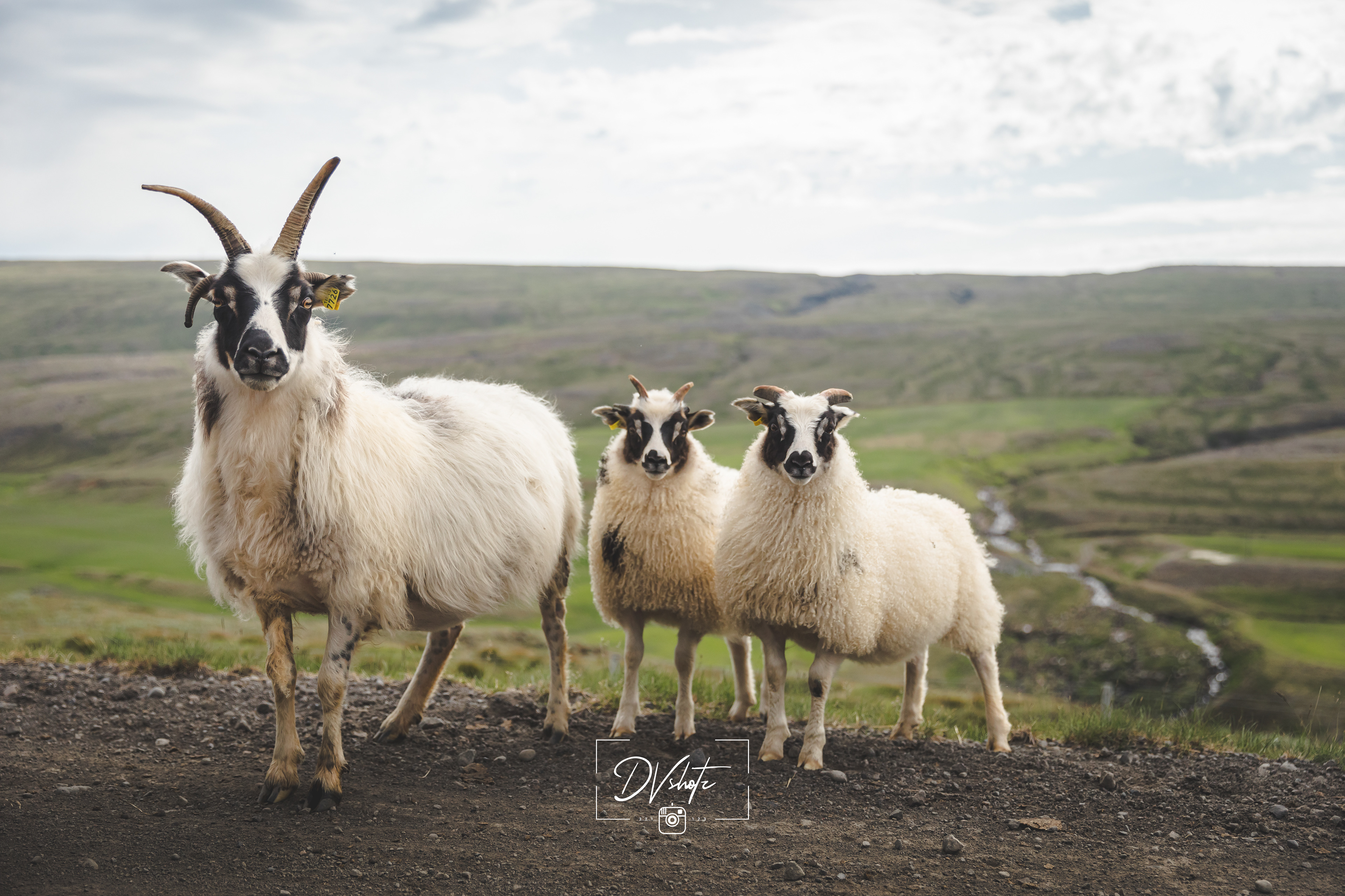 Landschap - Ijsland 2019