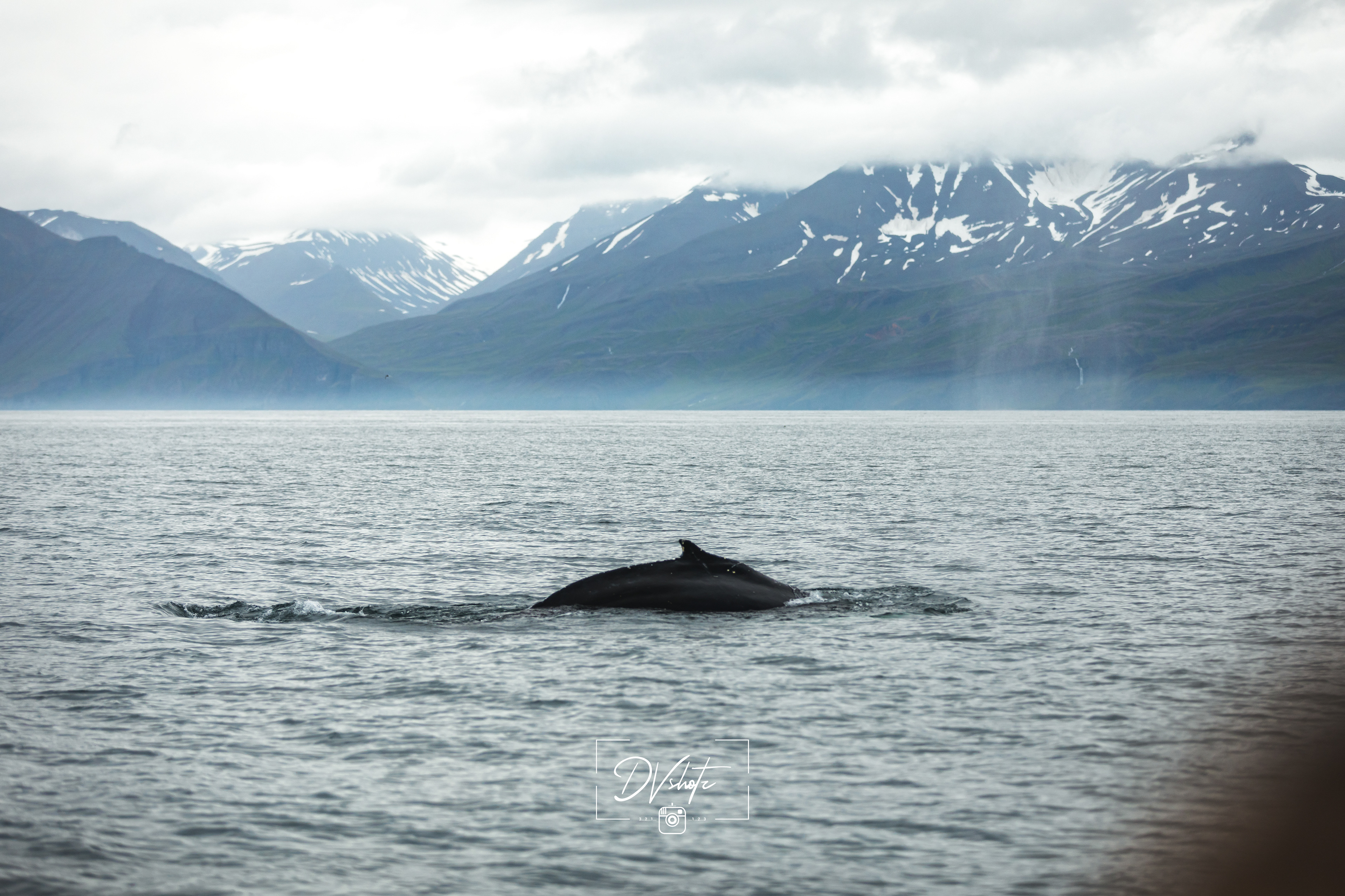Landschap - Ijsland 2019