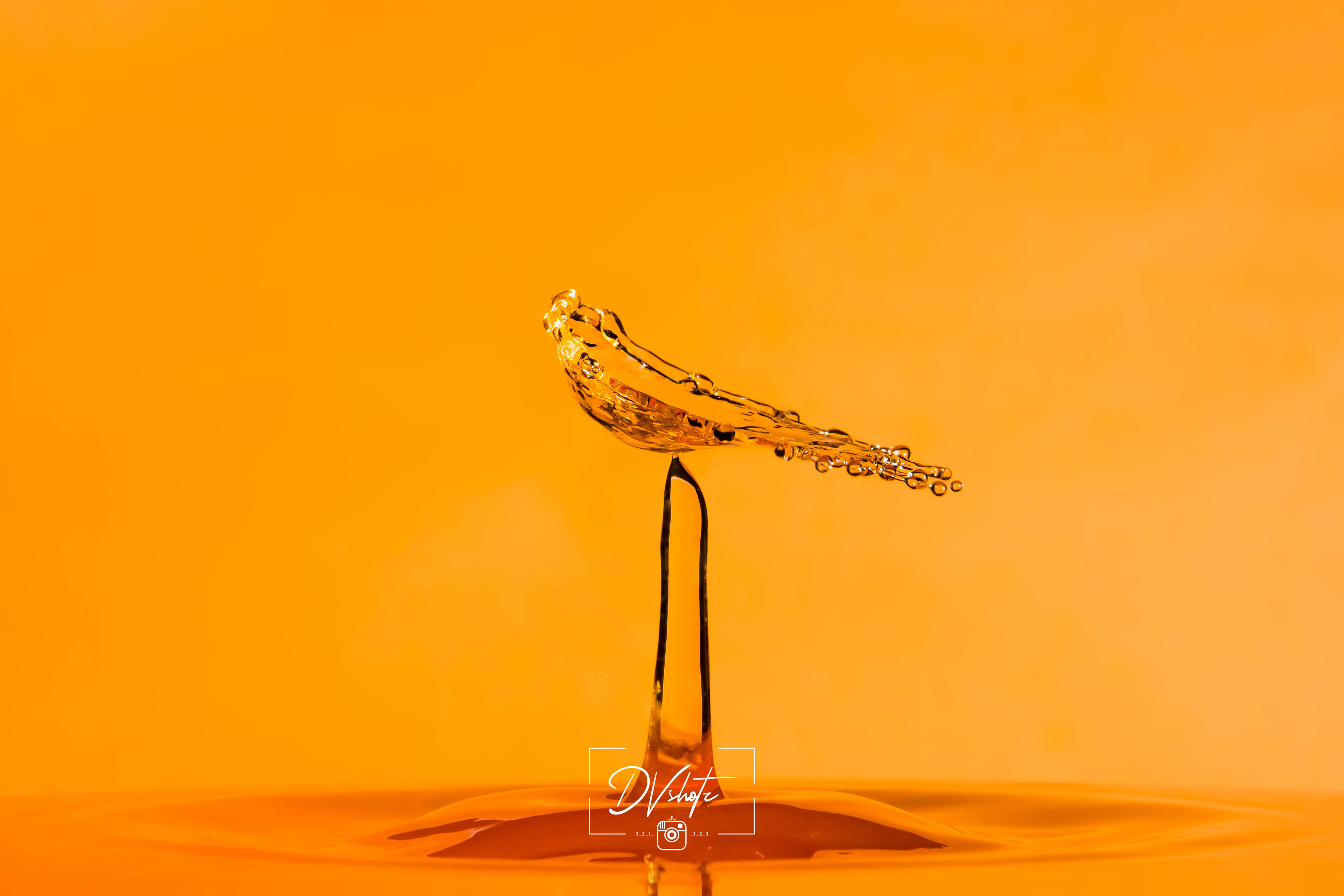 Waterdrop photography