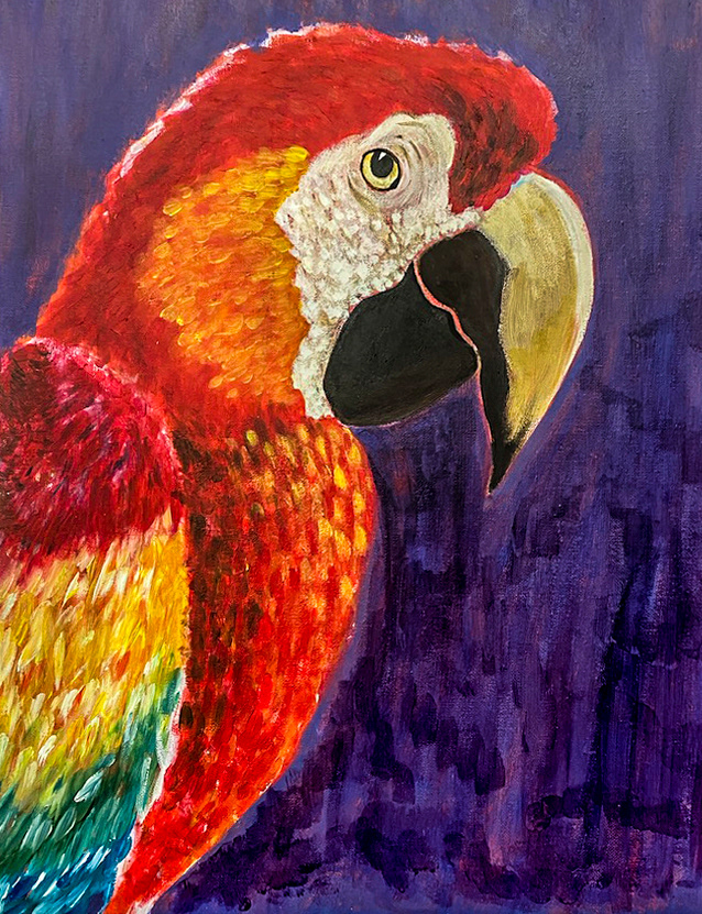 Acrylic on canvas 16x20, Post-Impressionistic style of a Scarlet Macaw