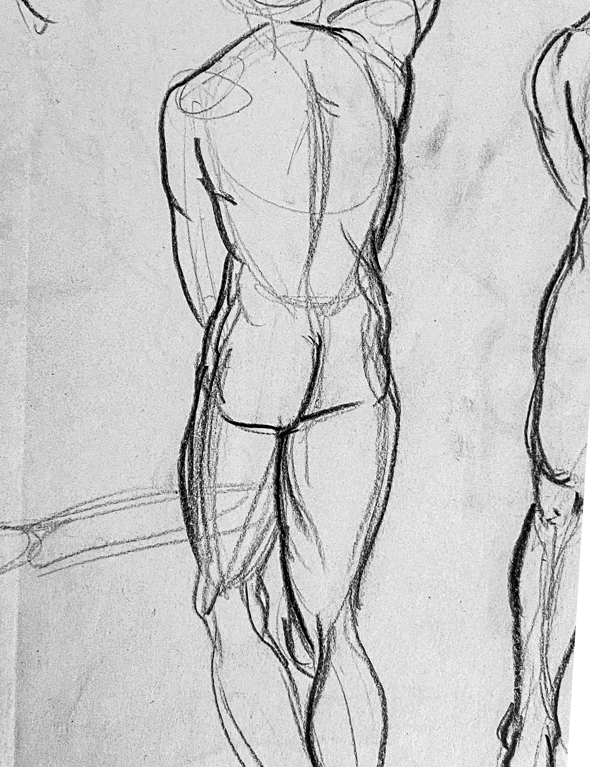 Constructive anatomy charcoal 18x24 (zoomed in)