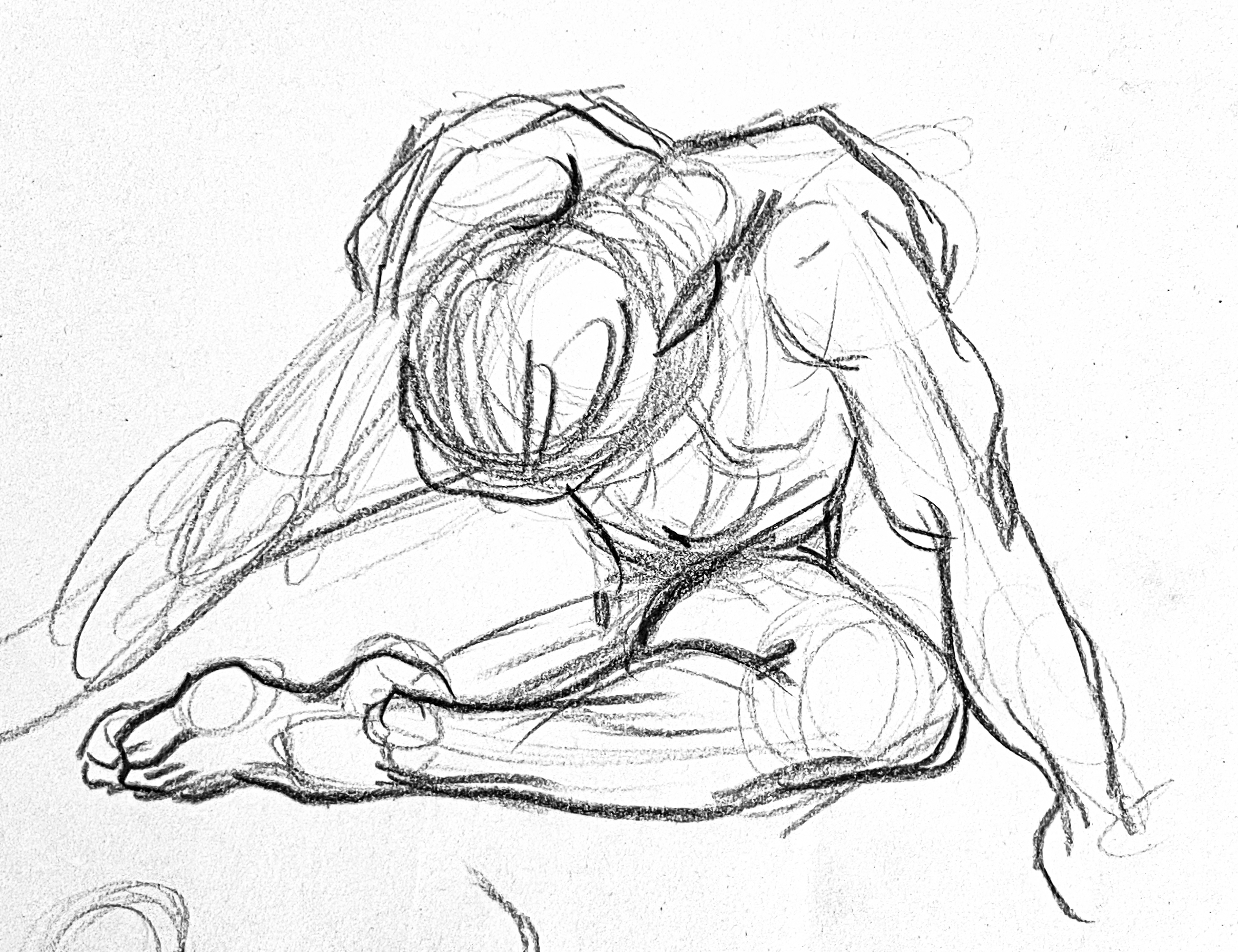 Constructive anatomy charcoal 18x24 (zoomed in)