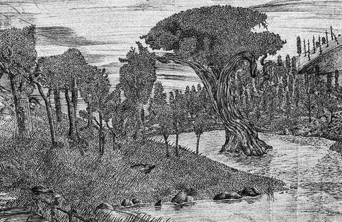 Micron Ink Pen on Canson grey paper 18x24, a study of line, value & texture in a landscape (lithographic recreation)