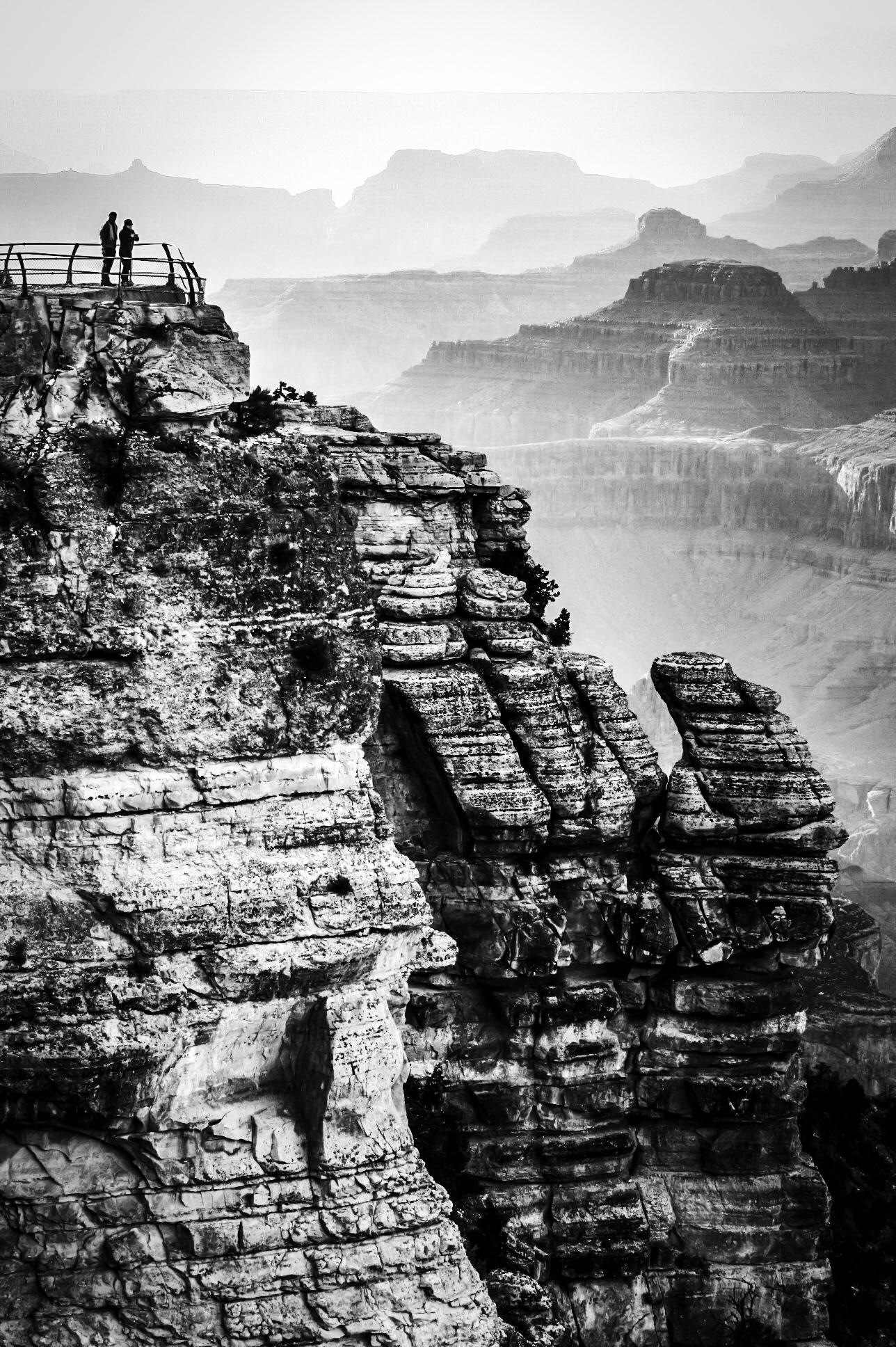 Canon EOS Rebel w/Tamron 70-200mm