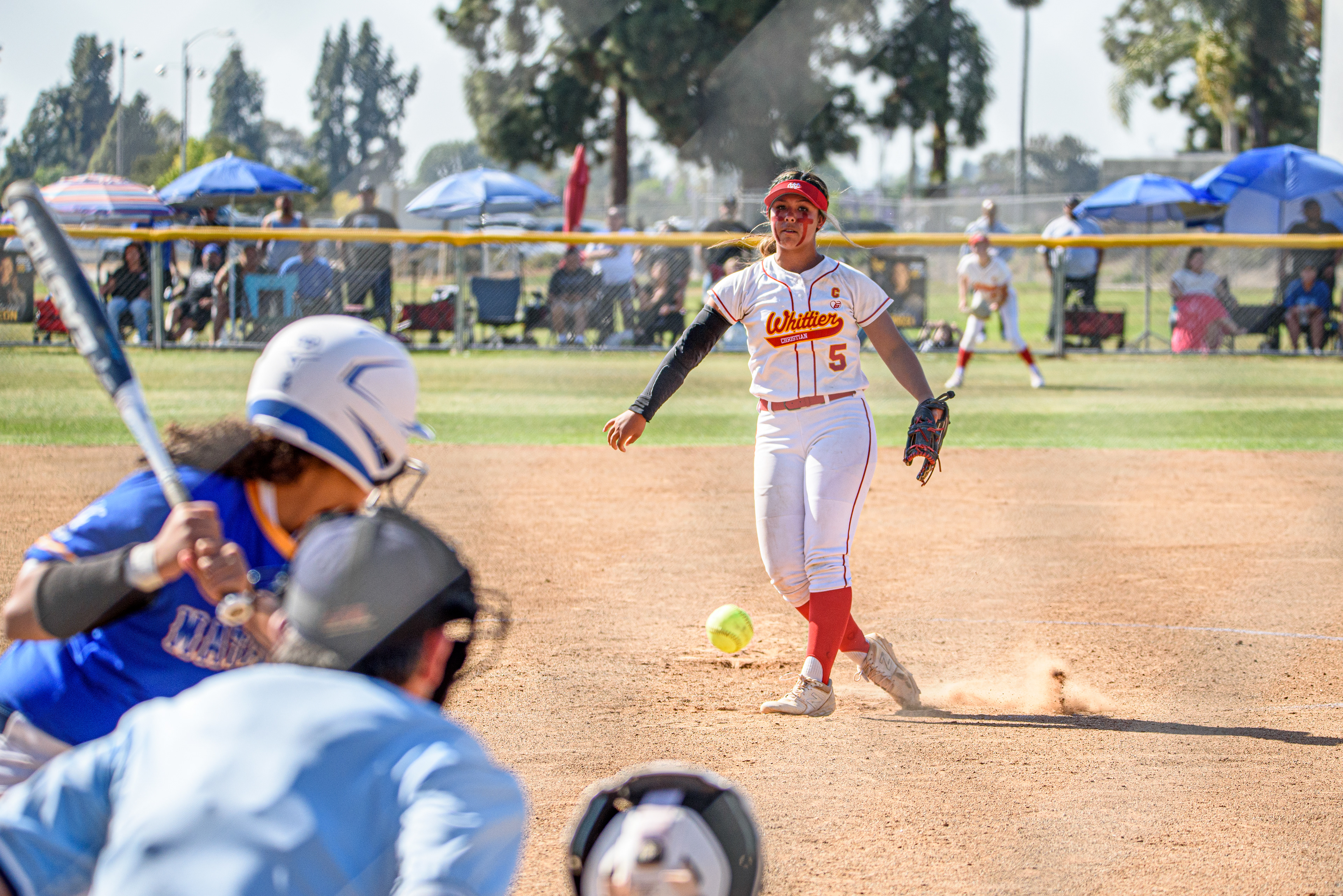 Nikon D750, 150-600mm