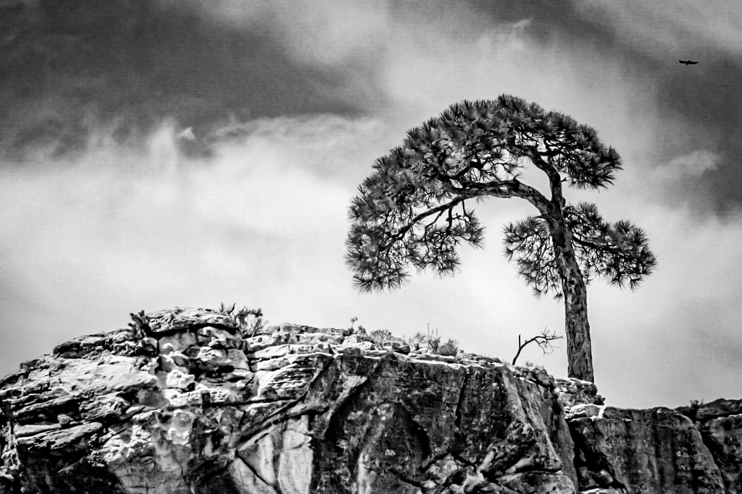 Canon EOS Rebel, 18-55mm