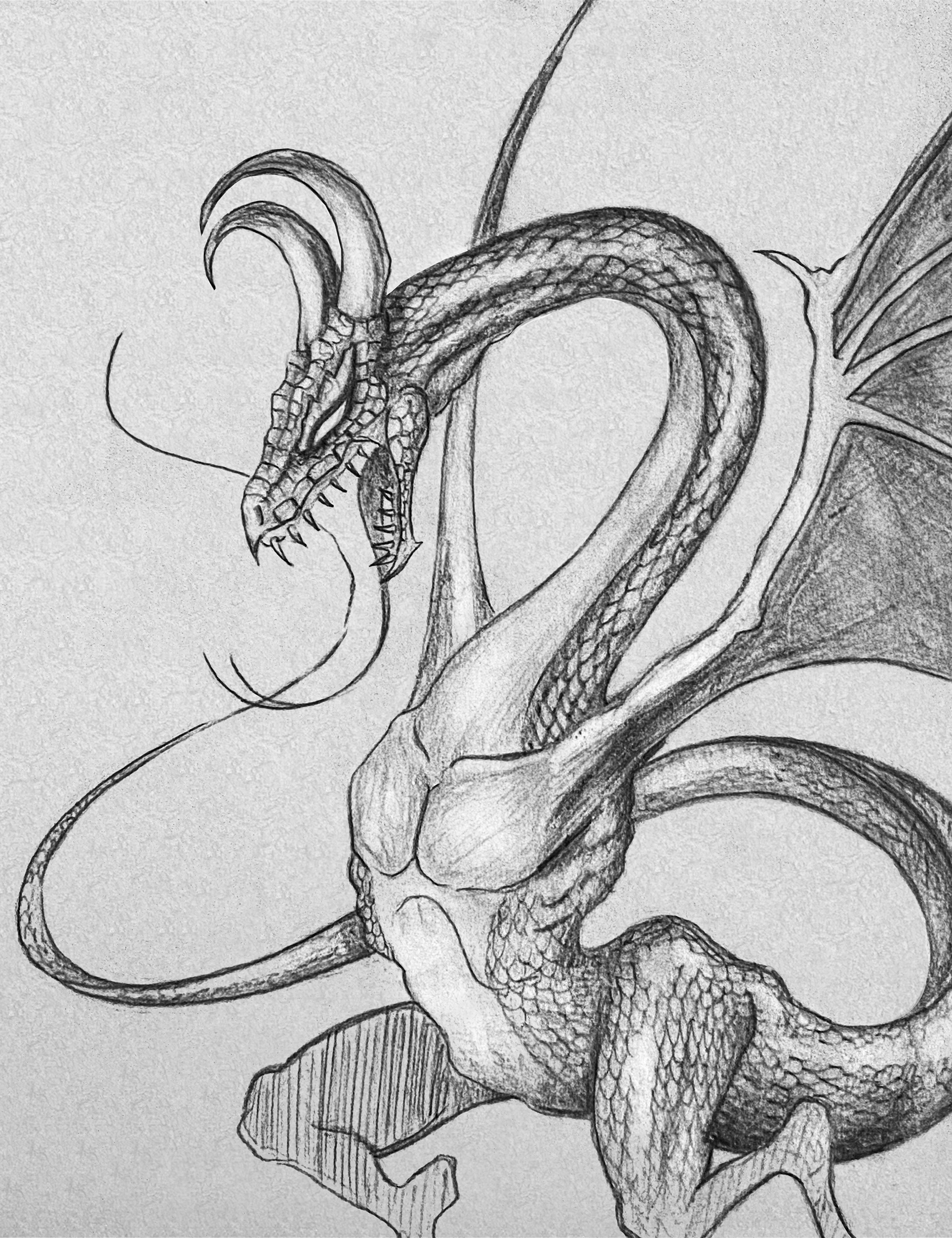 6B, 4B, & 2B graphite pencil on Canson gray paper 9x12
