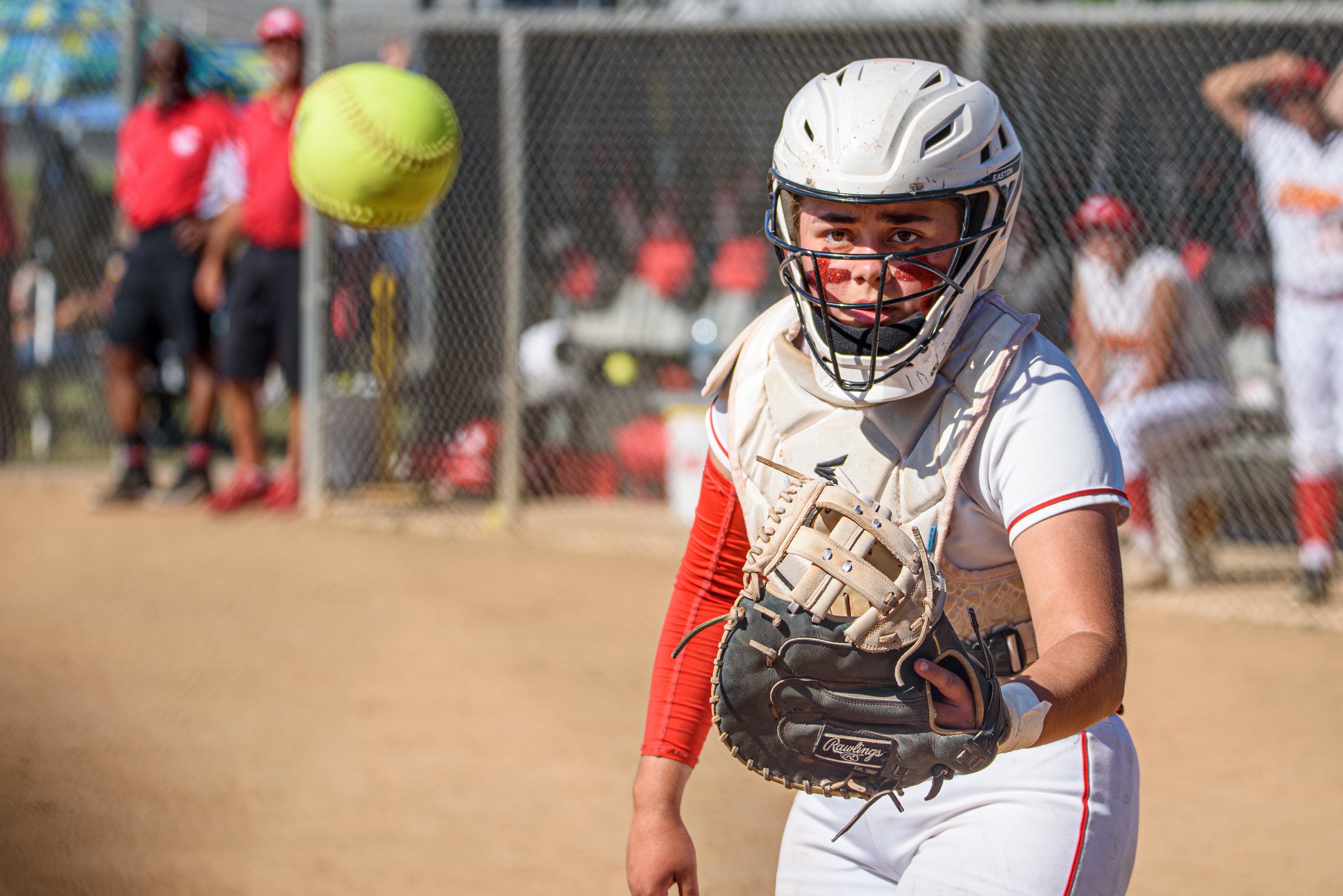 Nikon D750, 150-600mm