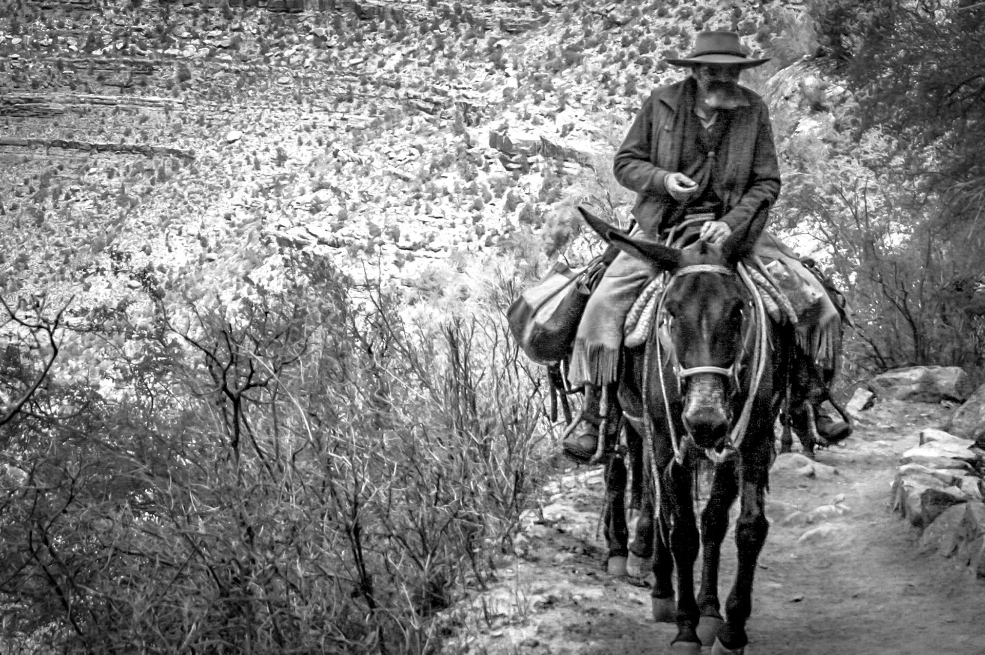 Canon EOS Rebel, 18-55mm