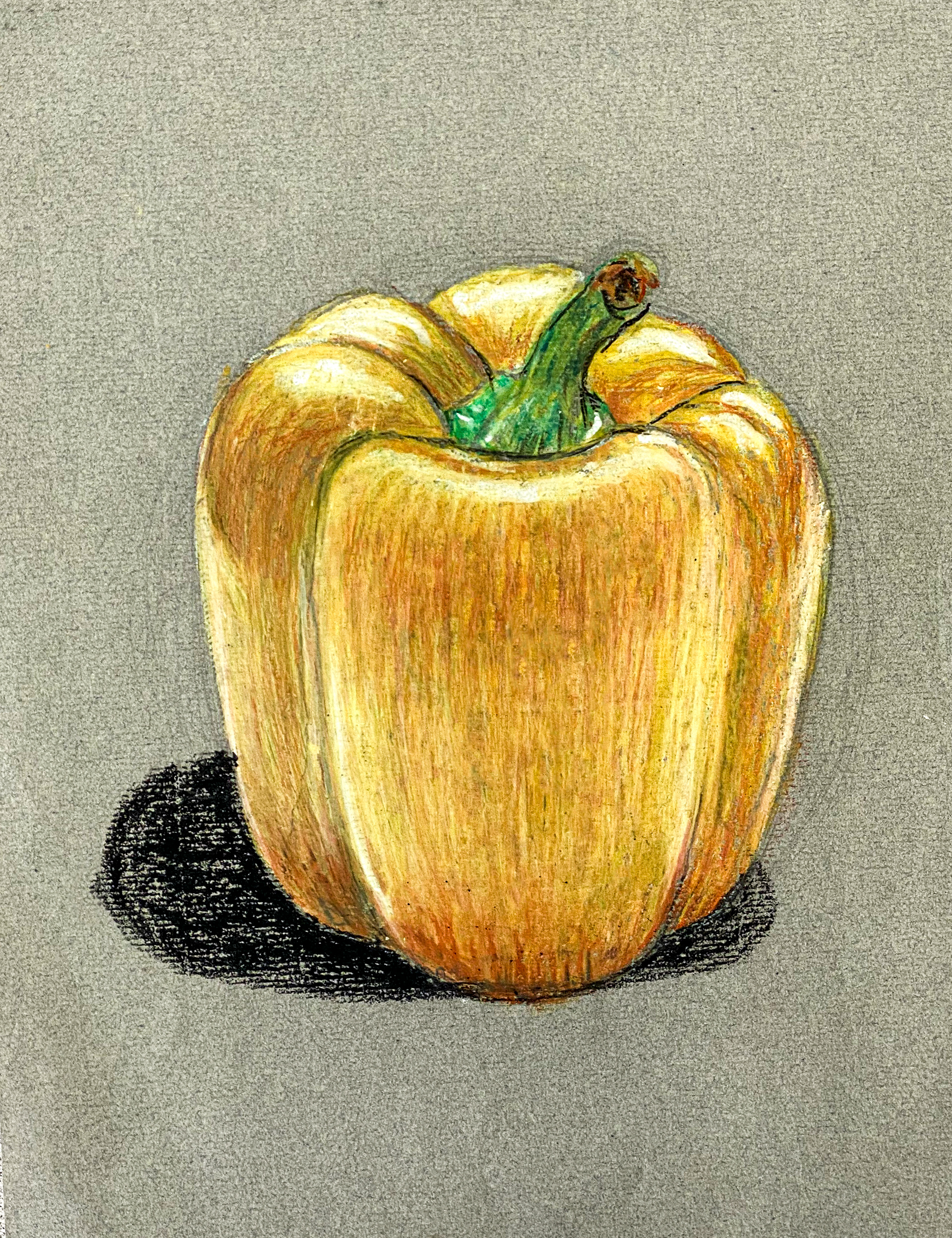Oil pastels on Canson grey paper 9x12