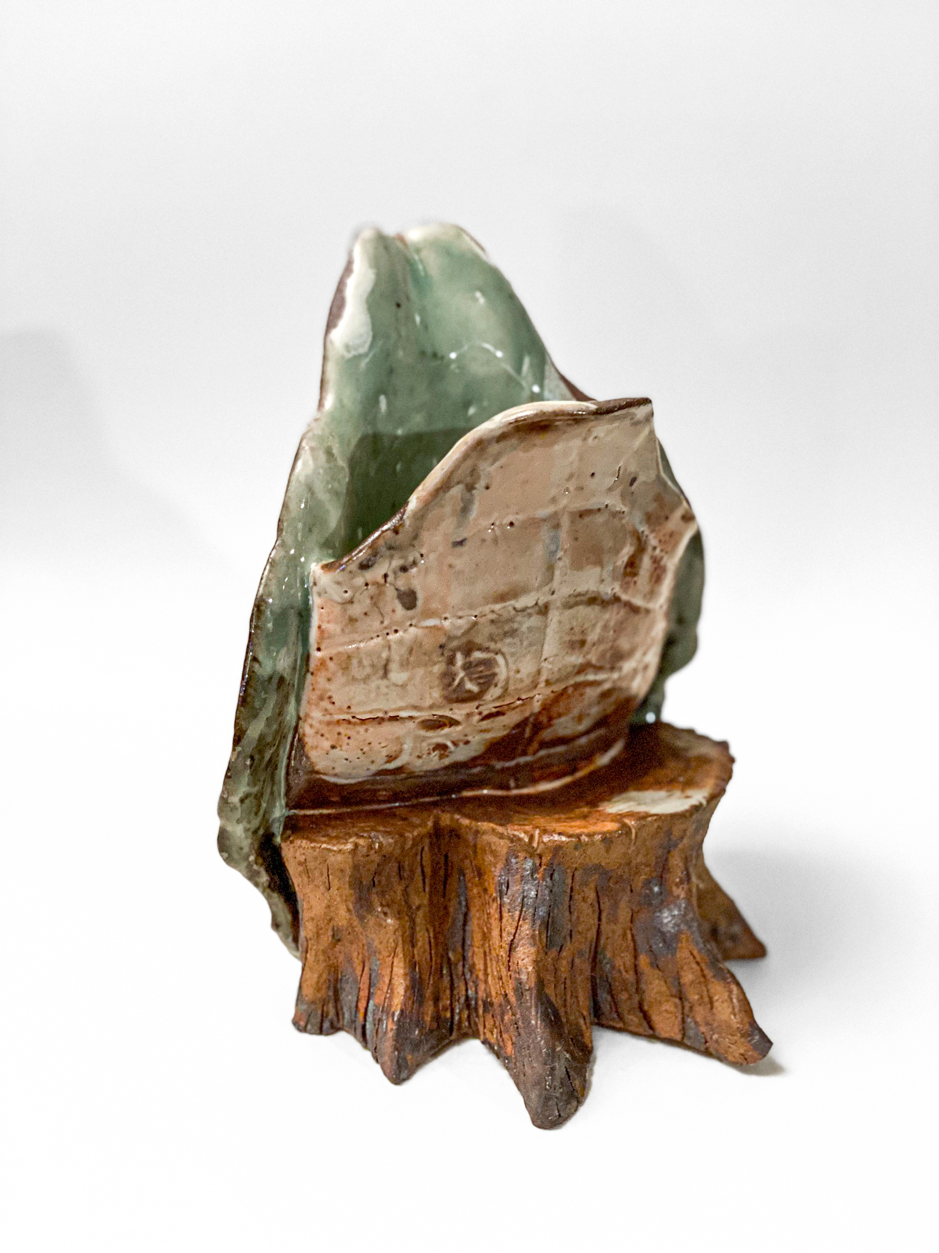 Turtle Shell on Tree Stump_Ceramic
