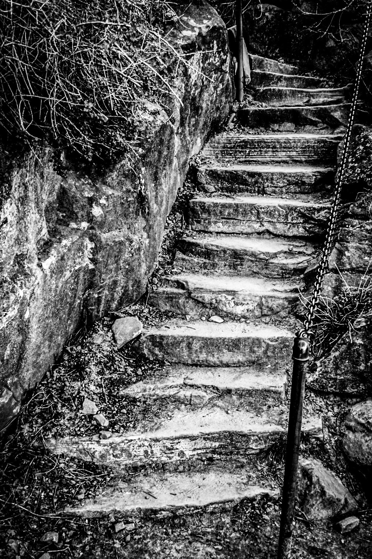 Canon EOS Rebel, 18-55mm