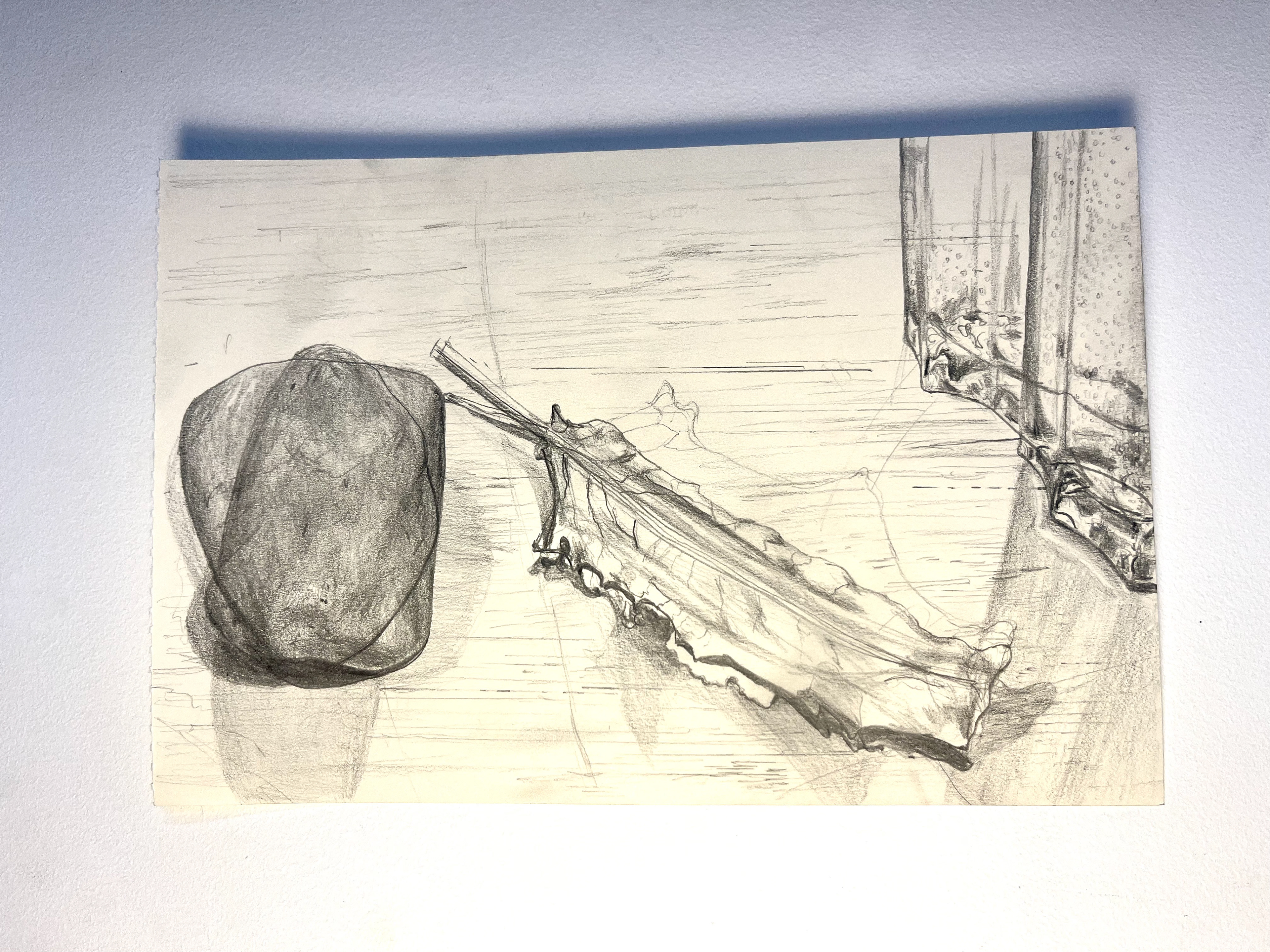 Still Life Upon Arrival - pencil on paper - $150