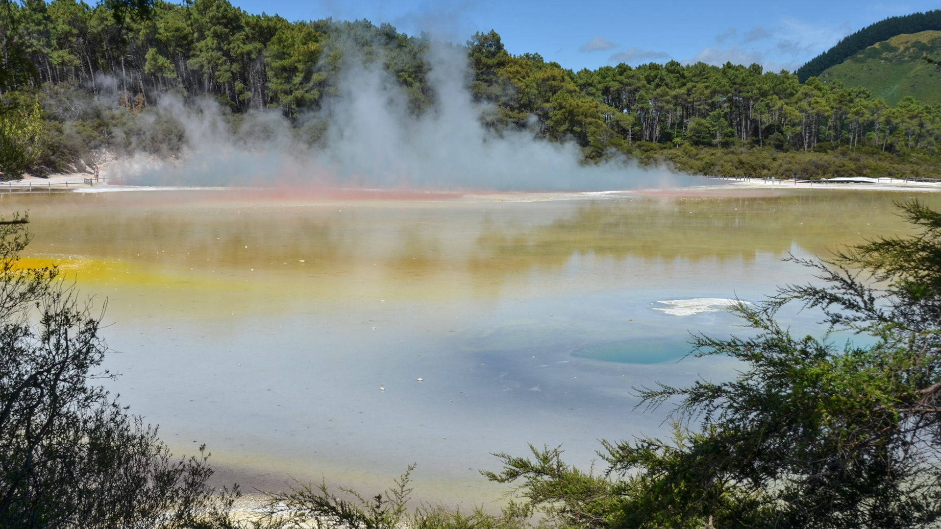 rotorua | 12.01.2015