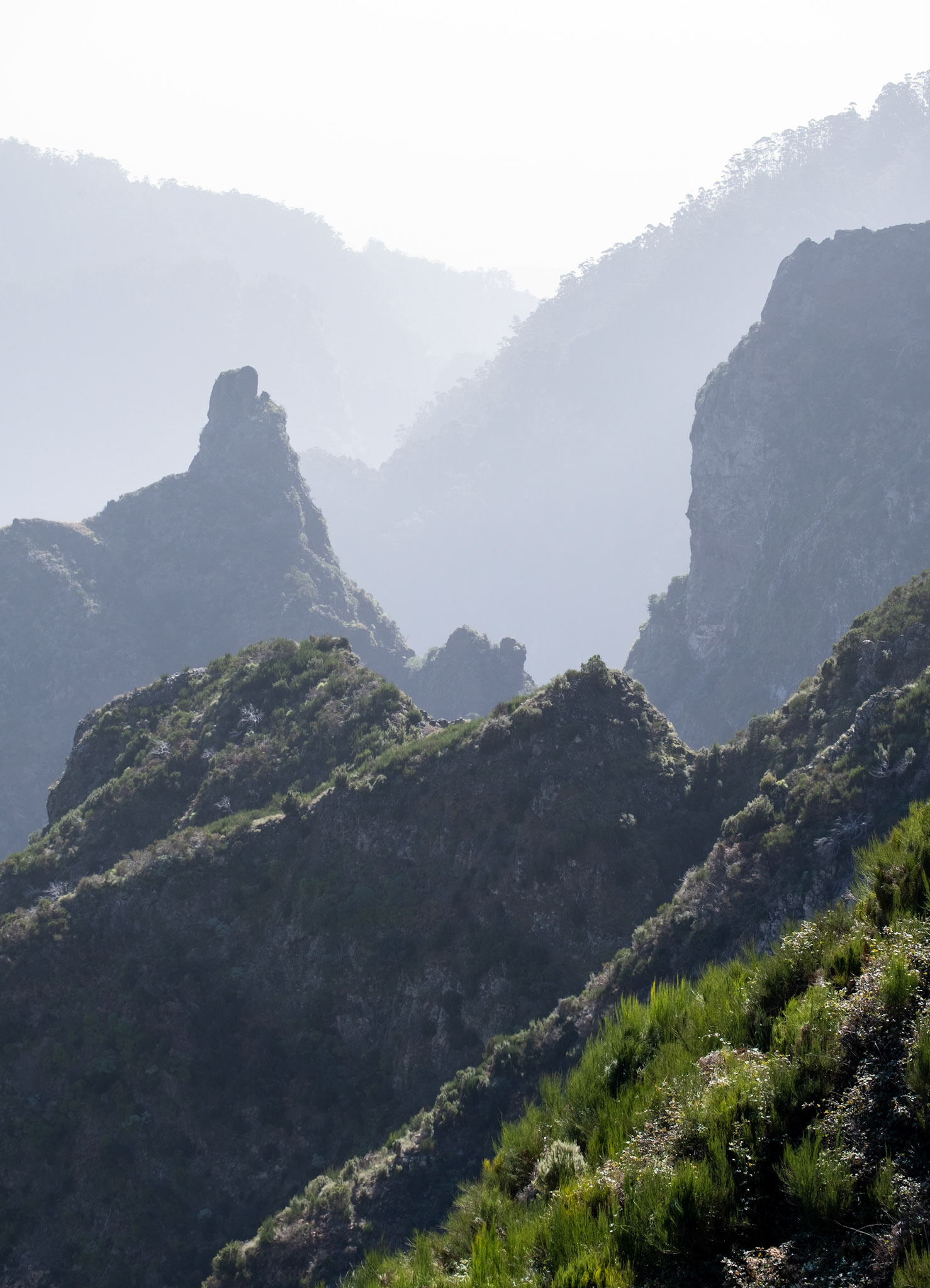 pico grande